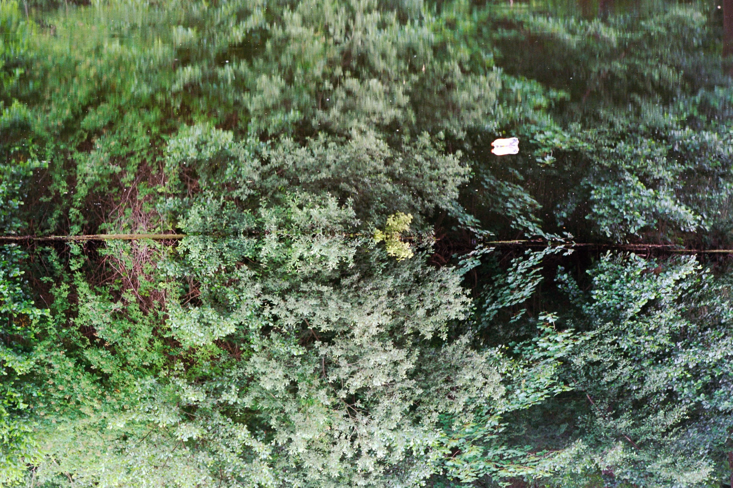 Analogtest (28 von 35).jpg