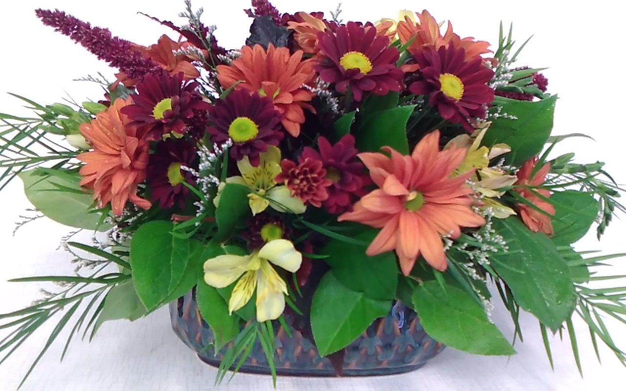 Fall Beauty Variation Front View.jpg