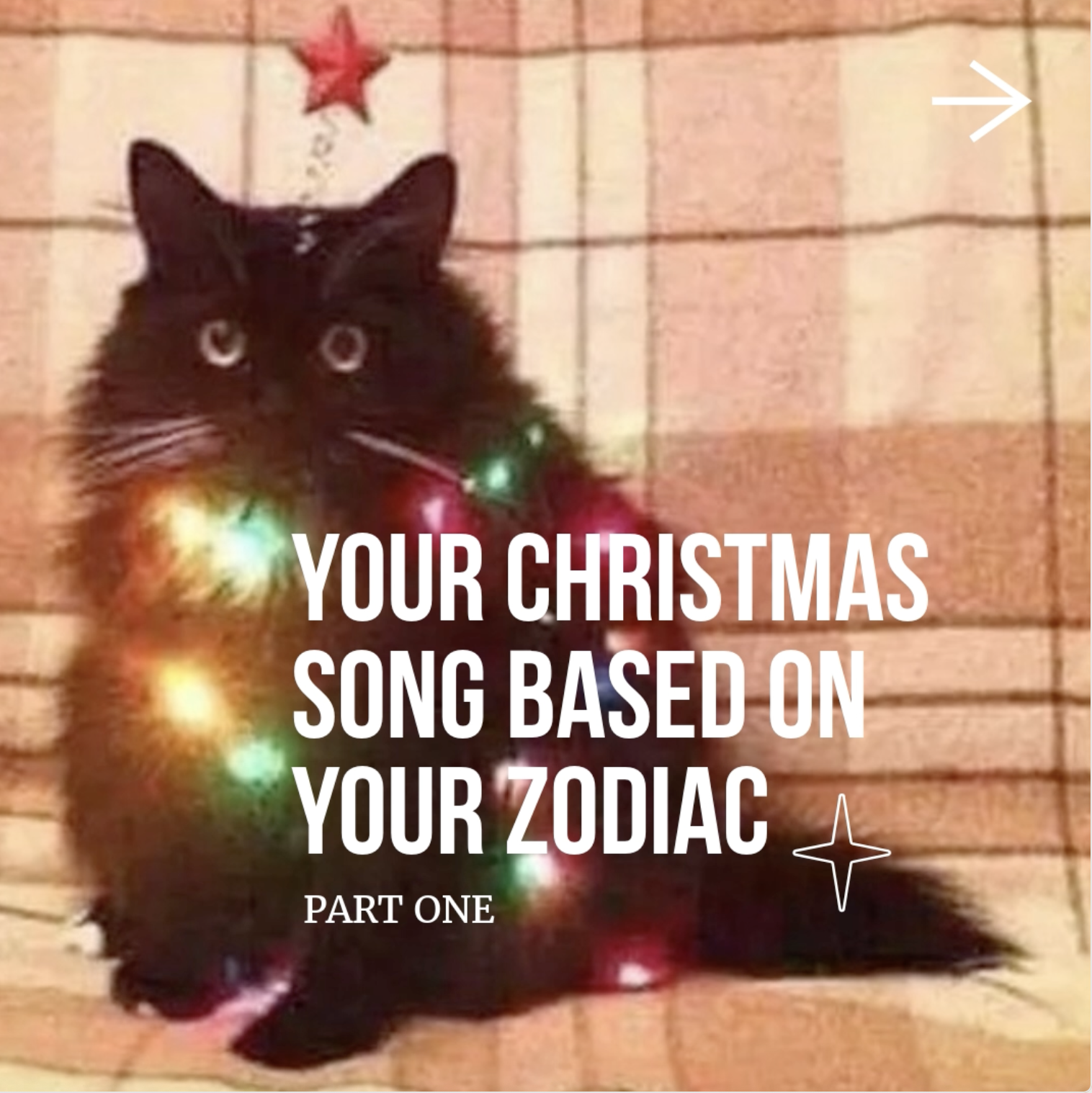 Self-Produced Social Content