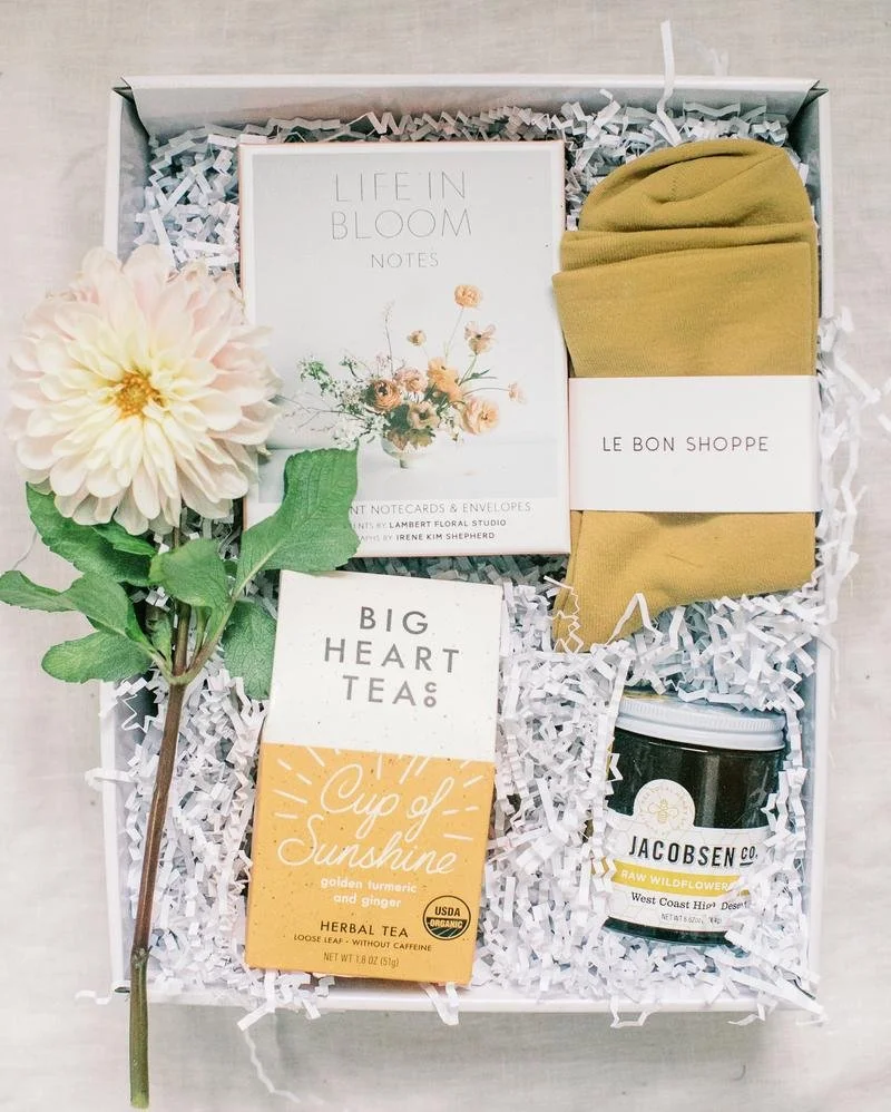 ALovelyUniverseVeronicaLolaPhotography2020-43_800x (1).jpeg