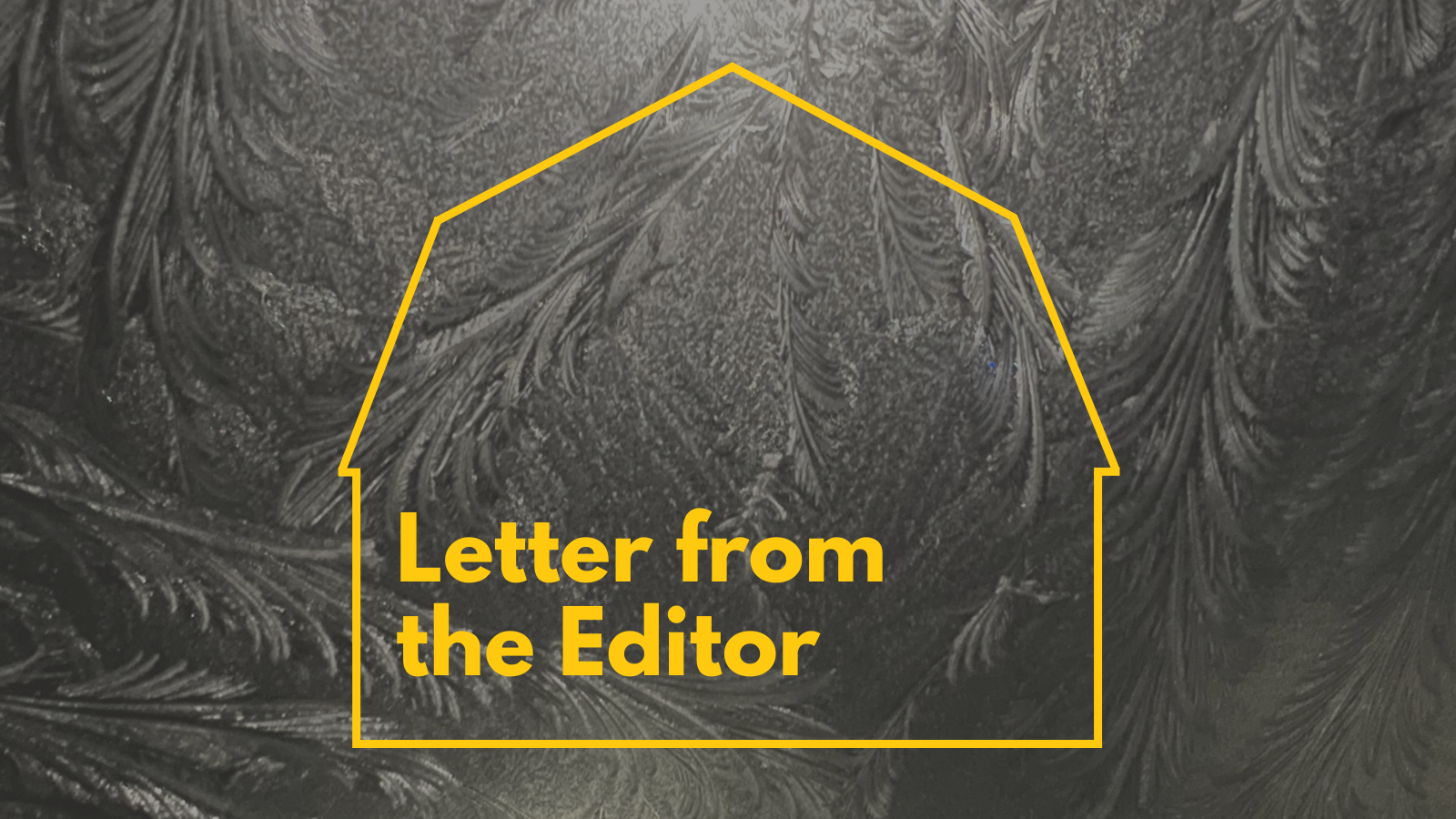 Letter from the Editor