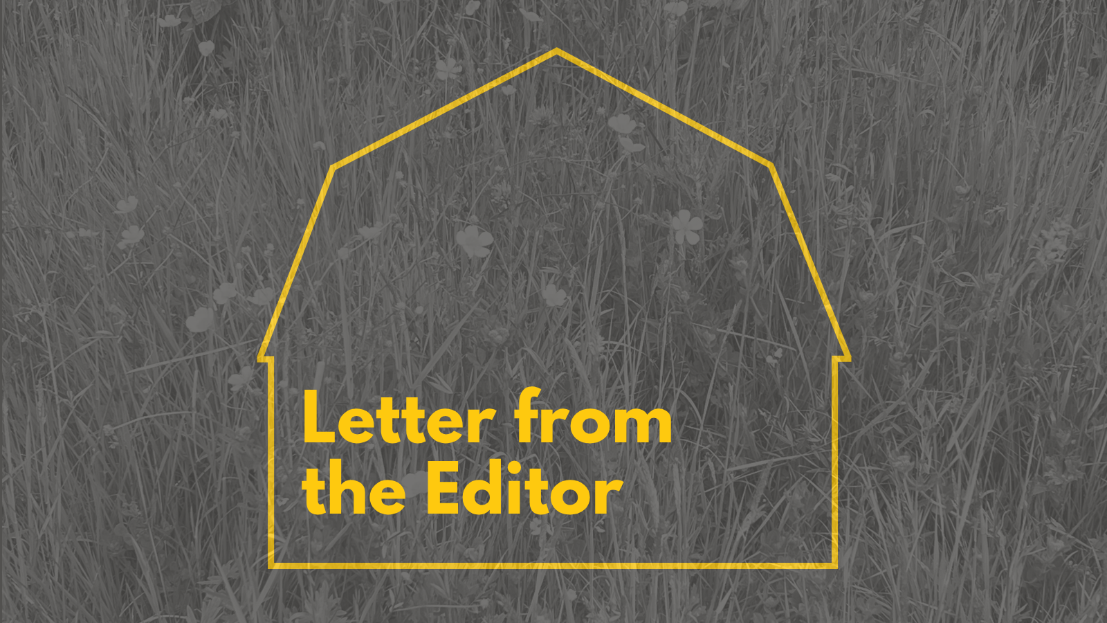 Letter from the Editor