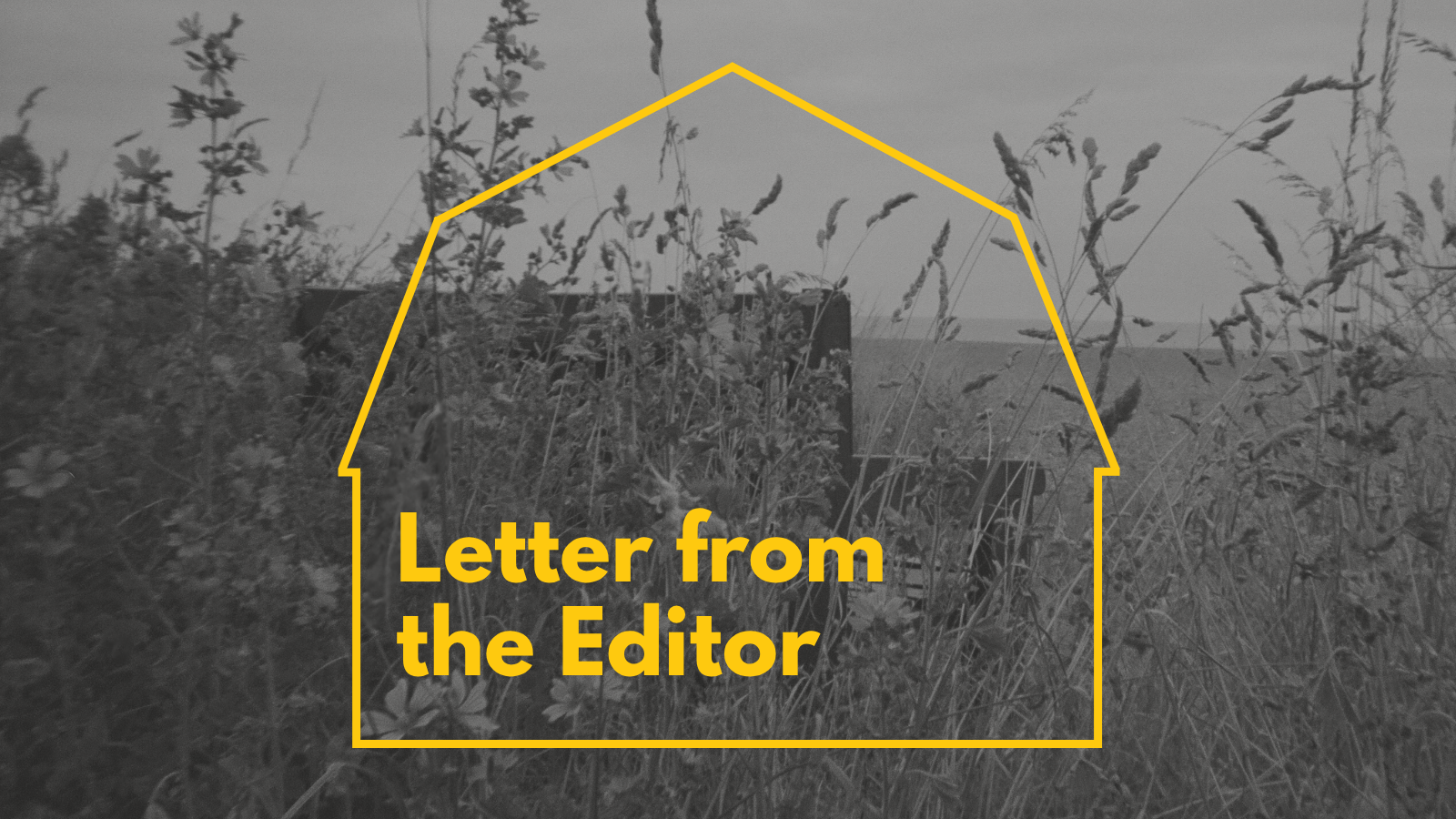 Issue 6 Letter from the Editor