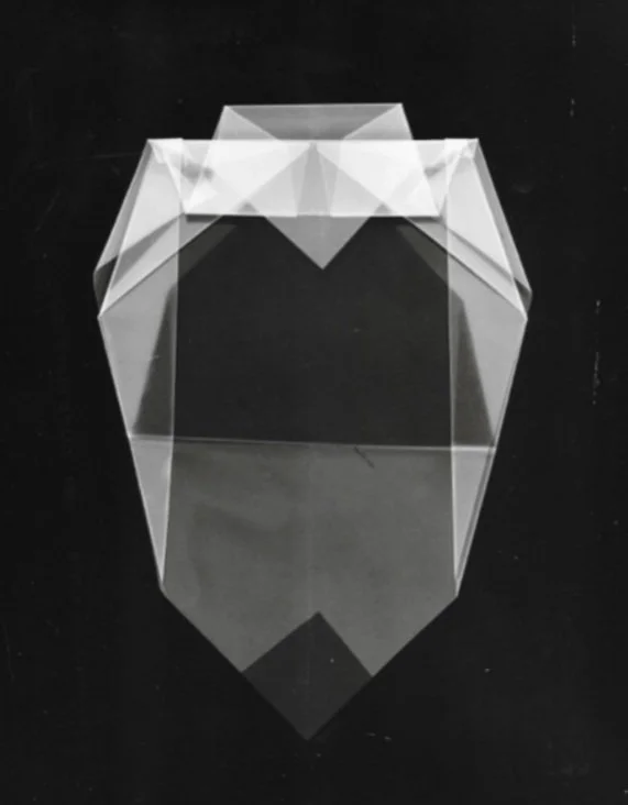 "untitled photogram on silver gelatin paper" by Shaina Gates
