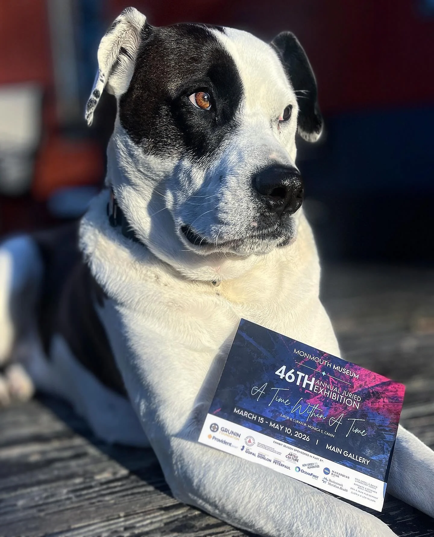 Please join me and my soulmate Remi 🐶 in giving Winter a collective aggressive side eye. 👋🏽 Good riddance seasonal blues! Hopefully. 
Anyway, today was the best Monday in a long time. Here&rsquo;s why:
1. It was a gorgeous, sunny 65+ degrees here 