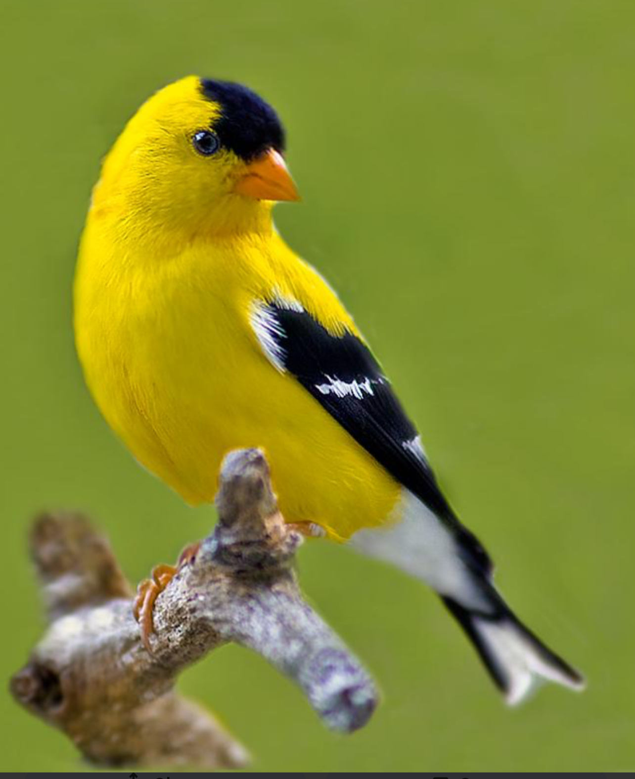 IMG_0327.png