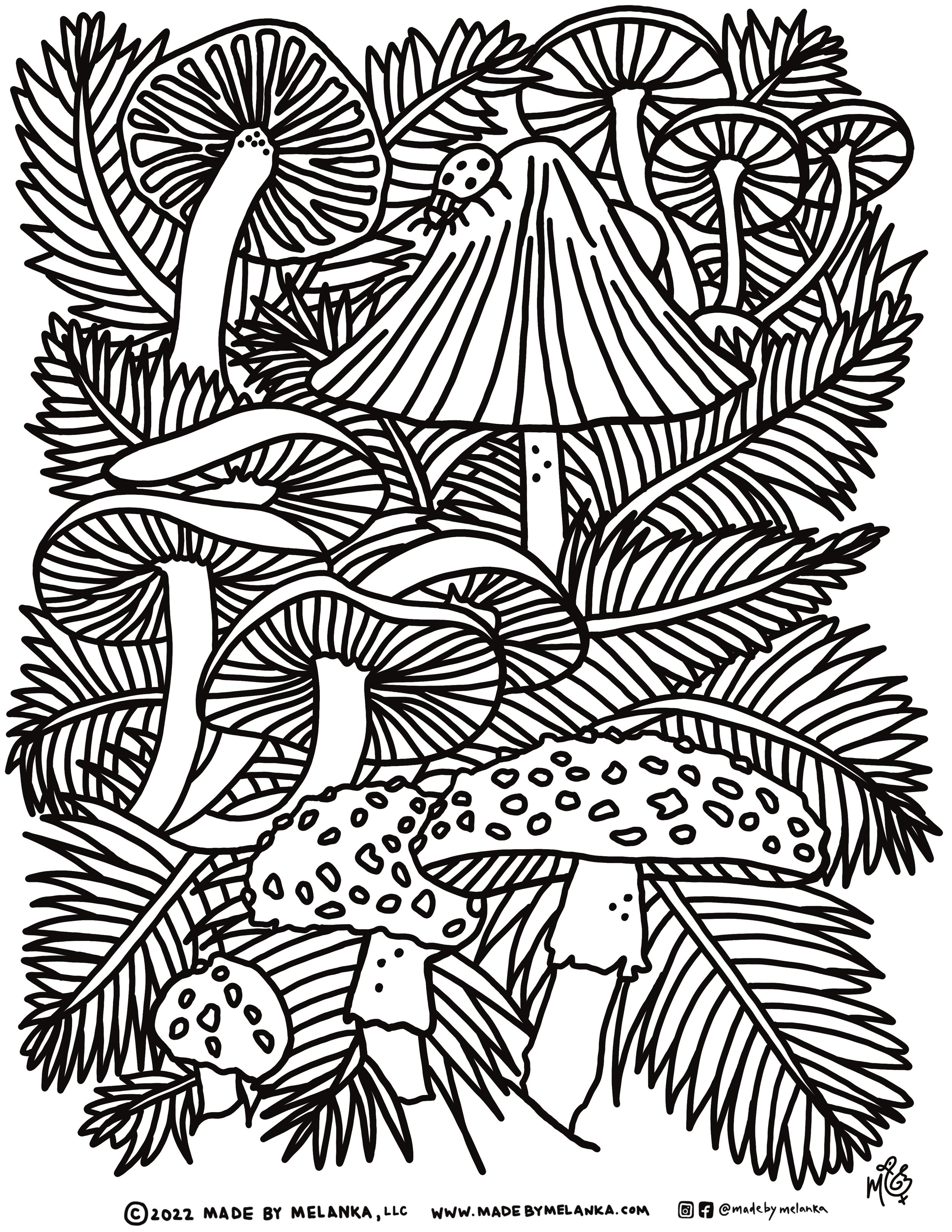 2022 Sept Mushrooms.JPG