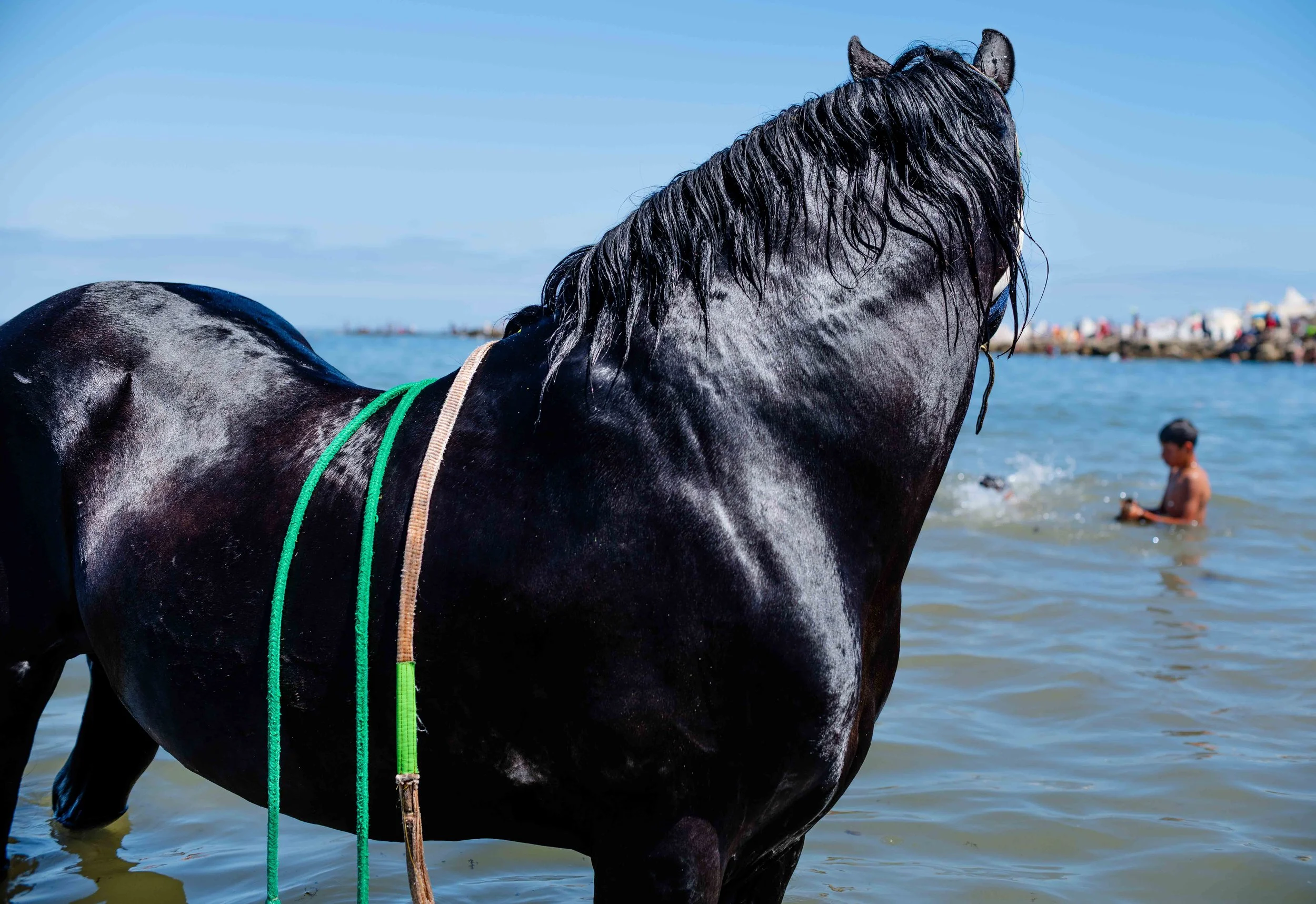 Horse beach Morocco swiming-23.jpg