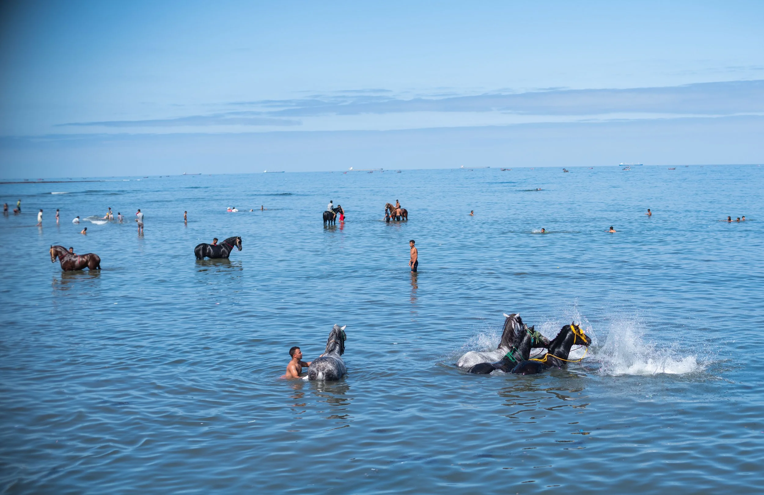 Horse beach project -38.jpg