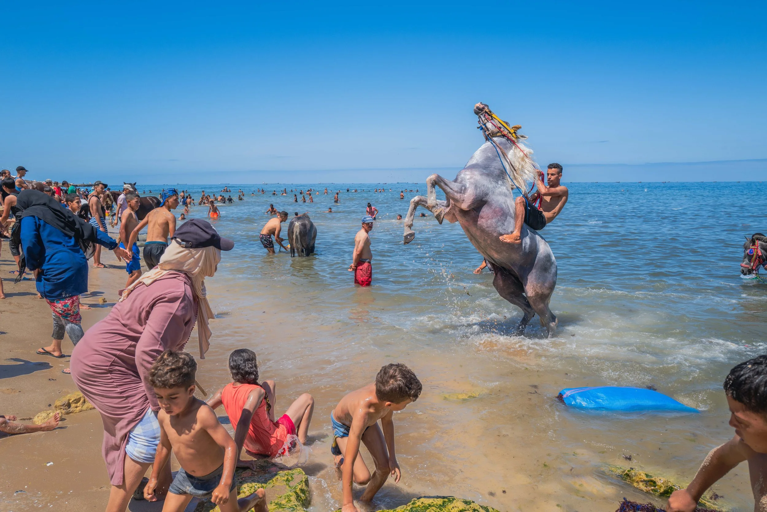 Horse beach project -20.jpg