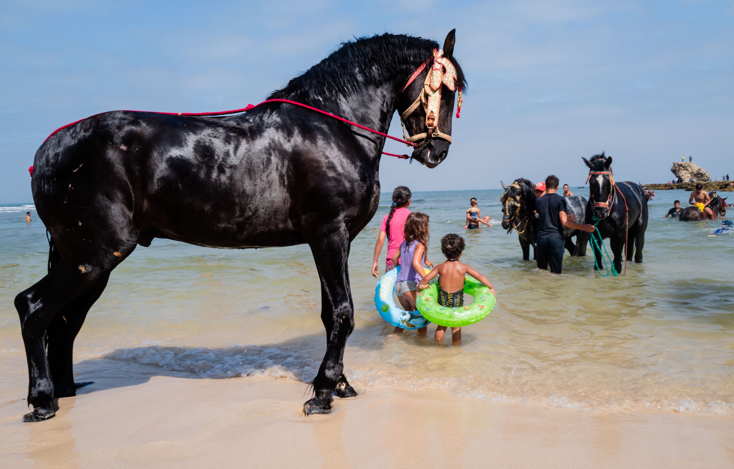 Horse beach project -21.jpg