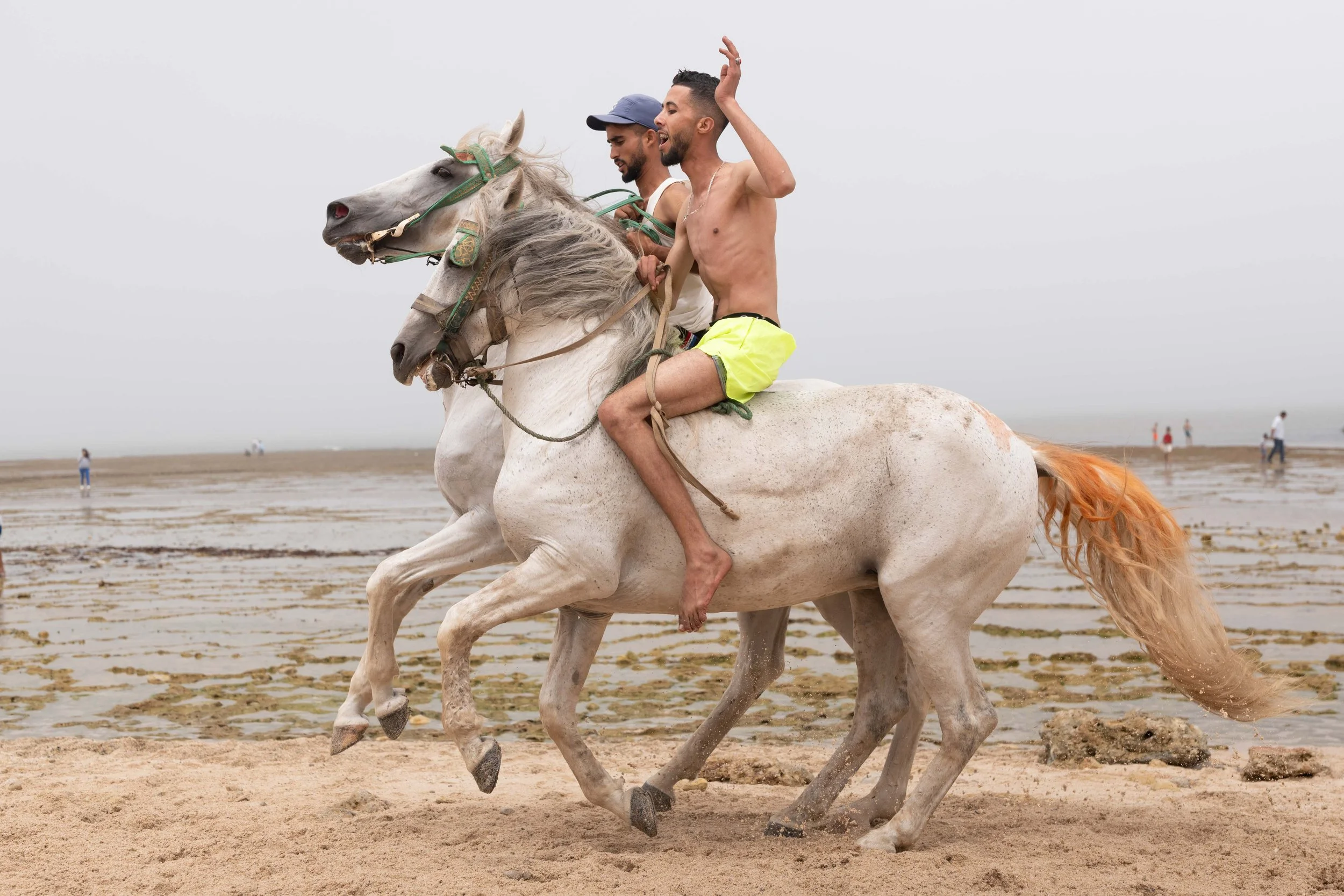 Horse beach Morocco swiming-41.jpg