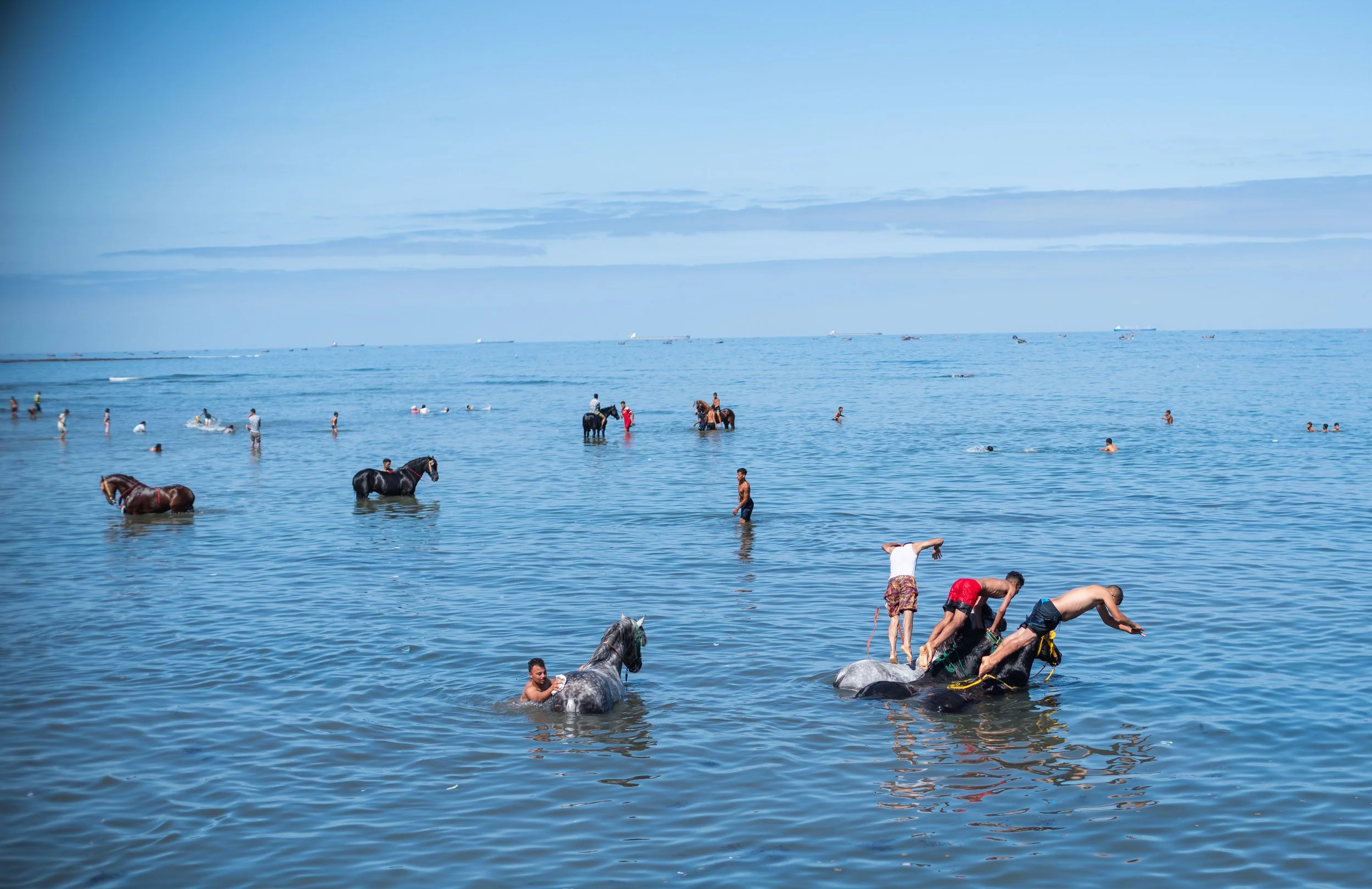 Horse beach project -37.jpg