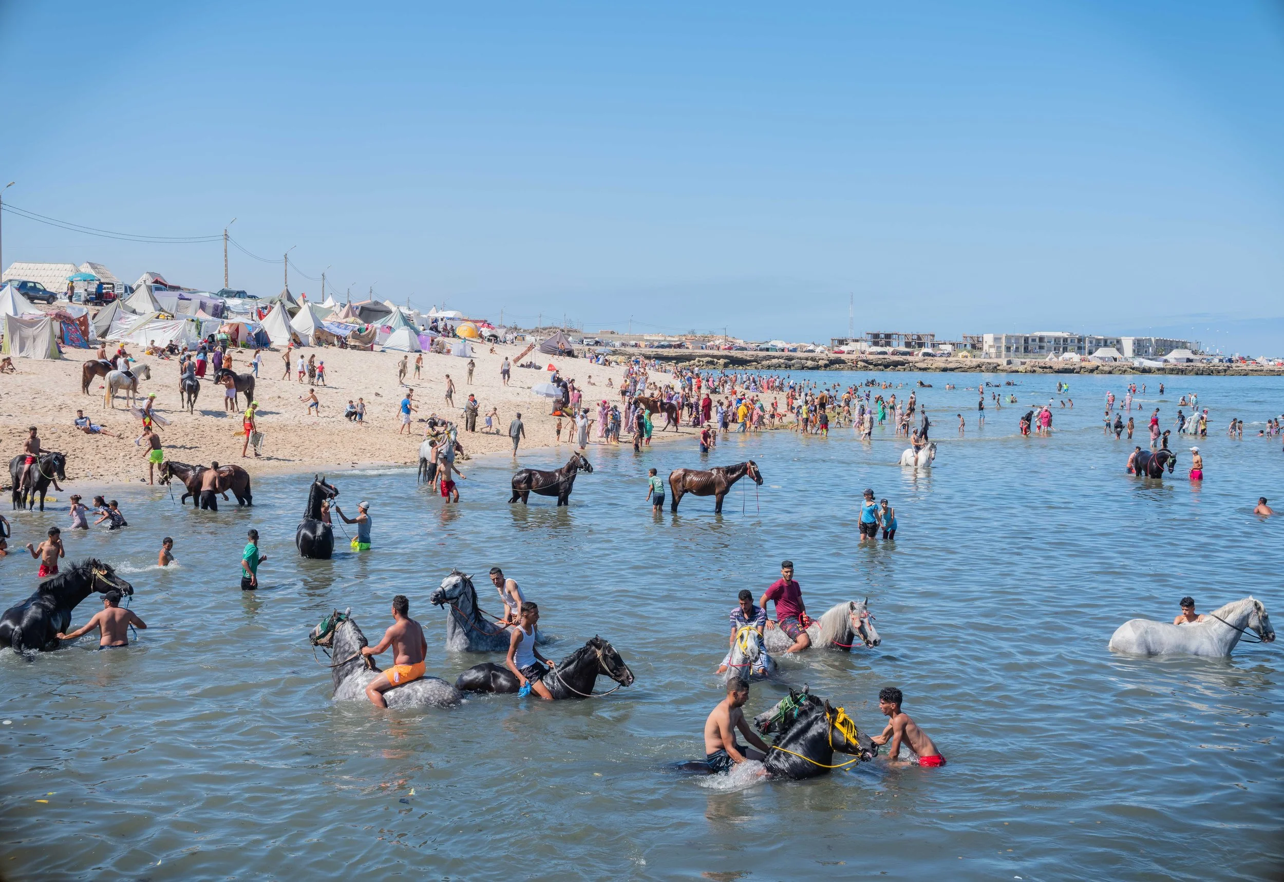 Horse beach project -12.jpg