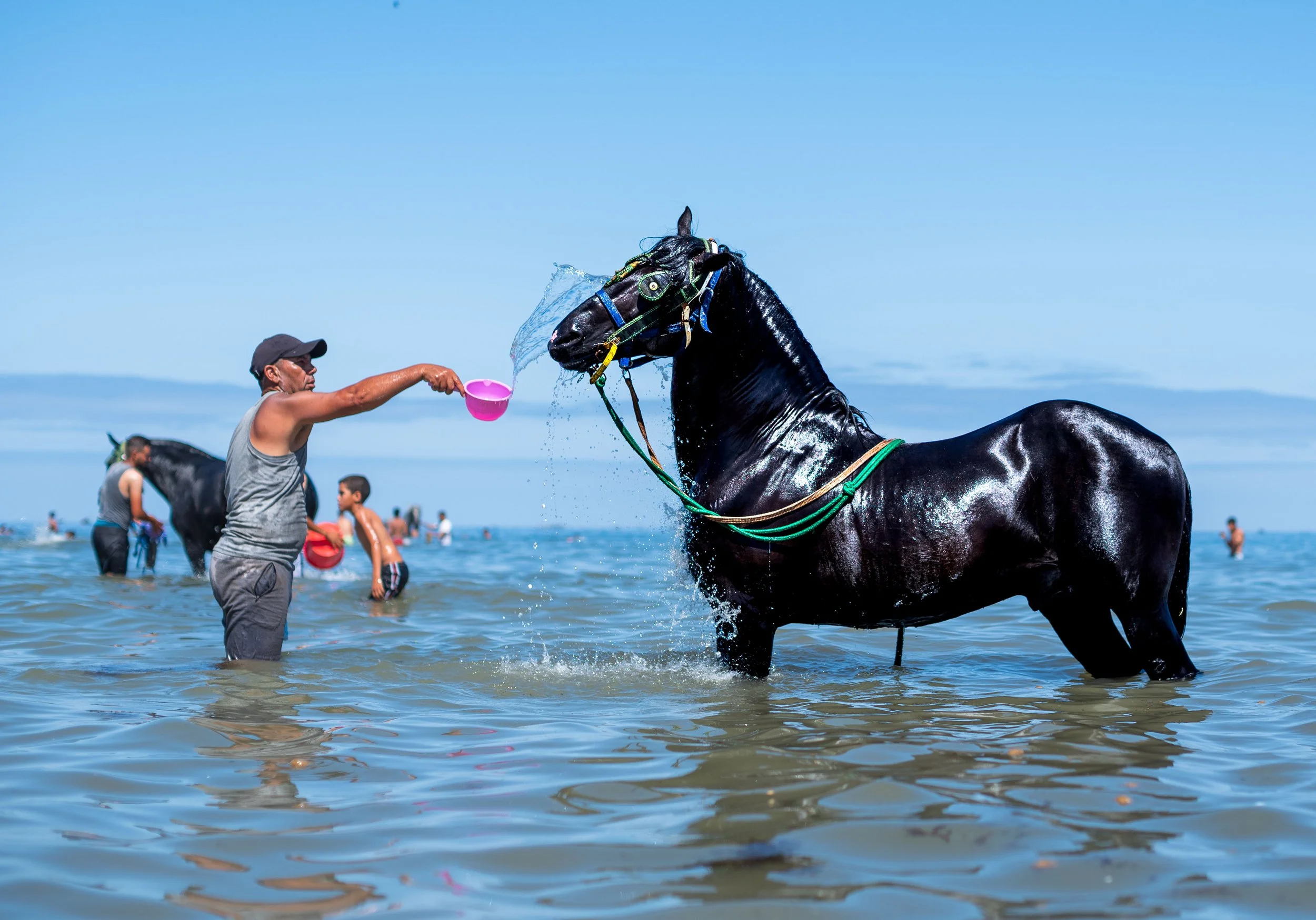 Horse beach Morocco swiming-21.jpg