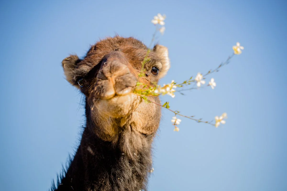 portfolio website-2.jpg