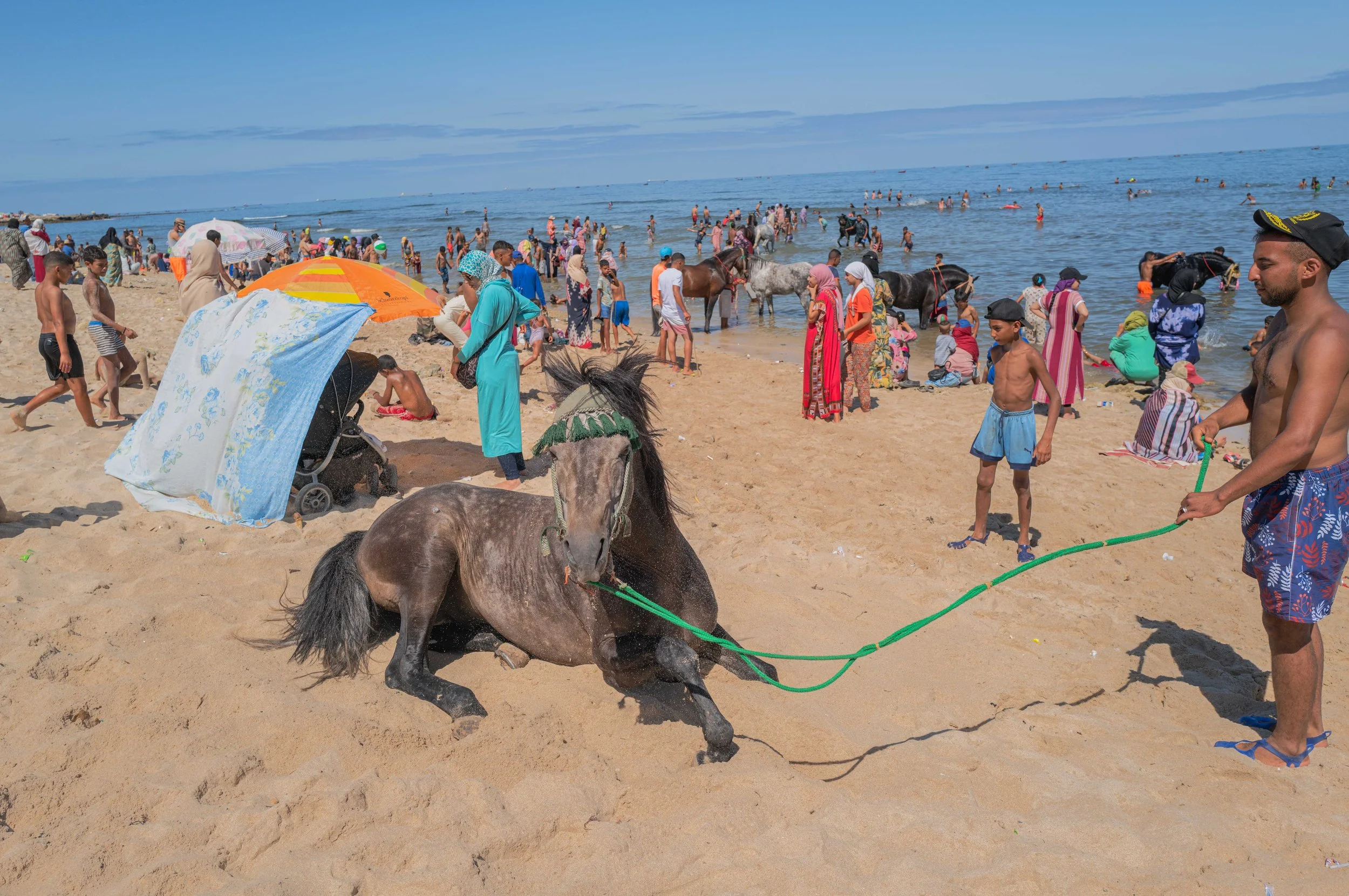 Horse beach project -4.jpg
