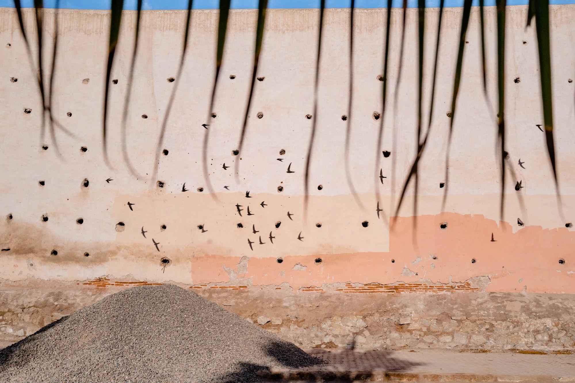 PASTELLE  web Yoriyas-1.jpg