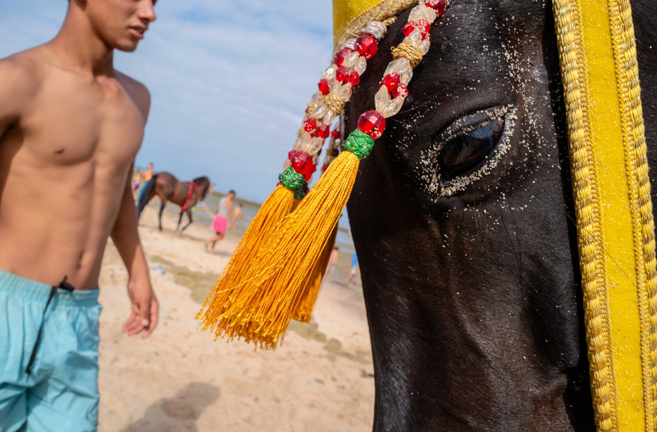 Horse beach project -15.jpg