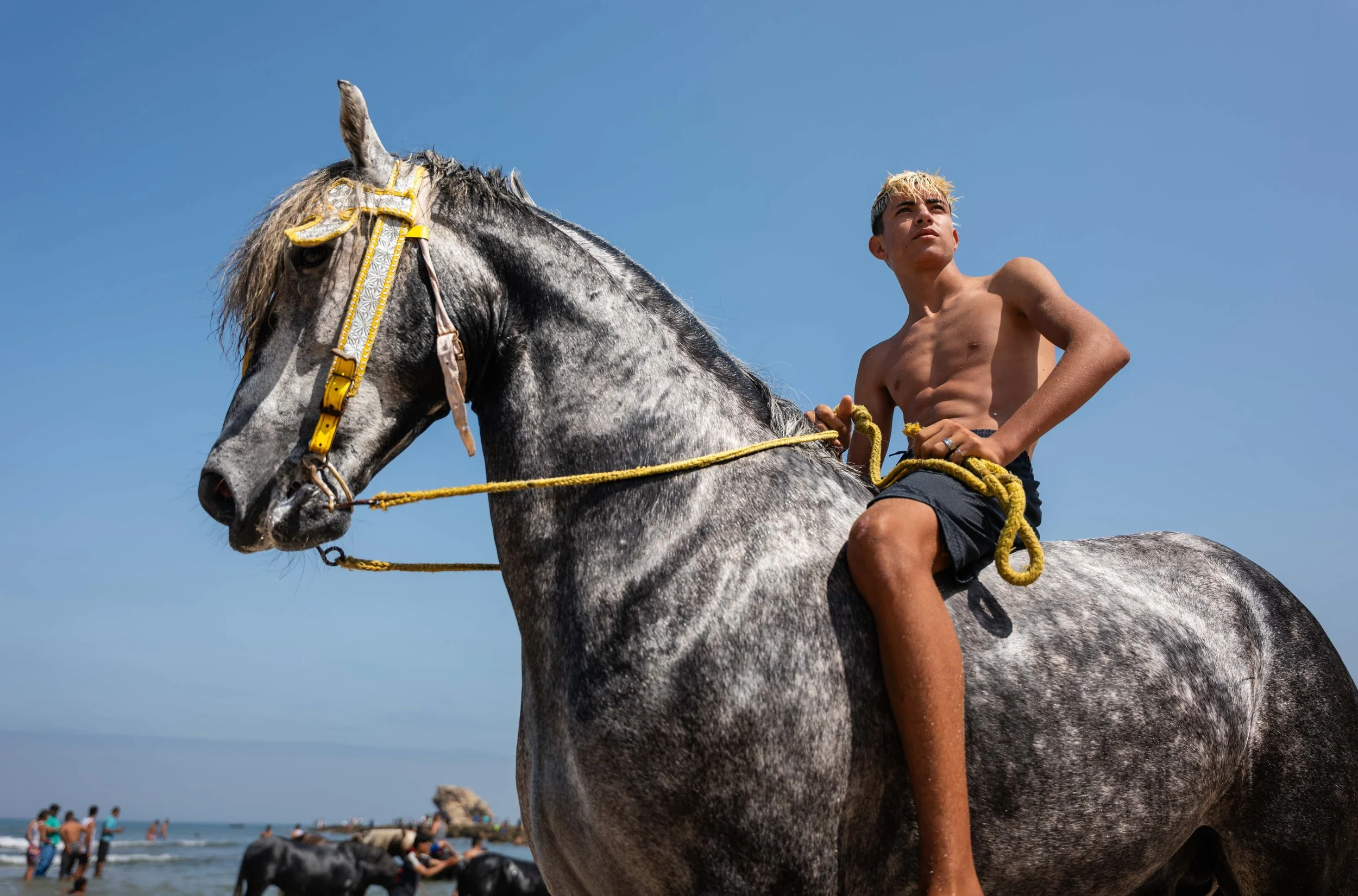 Horse beach Morocco swiming-26.jpg