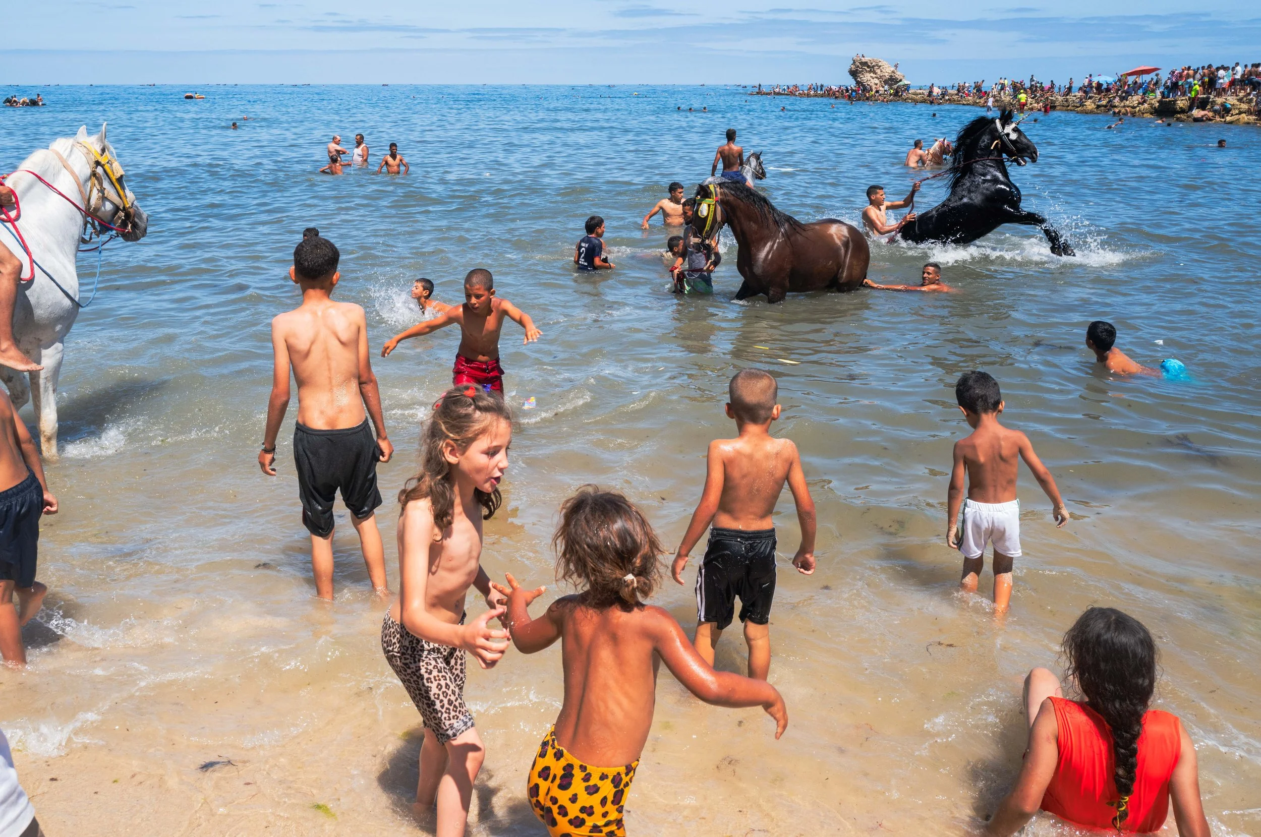Horse beach project -14.jpg