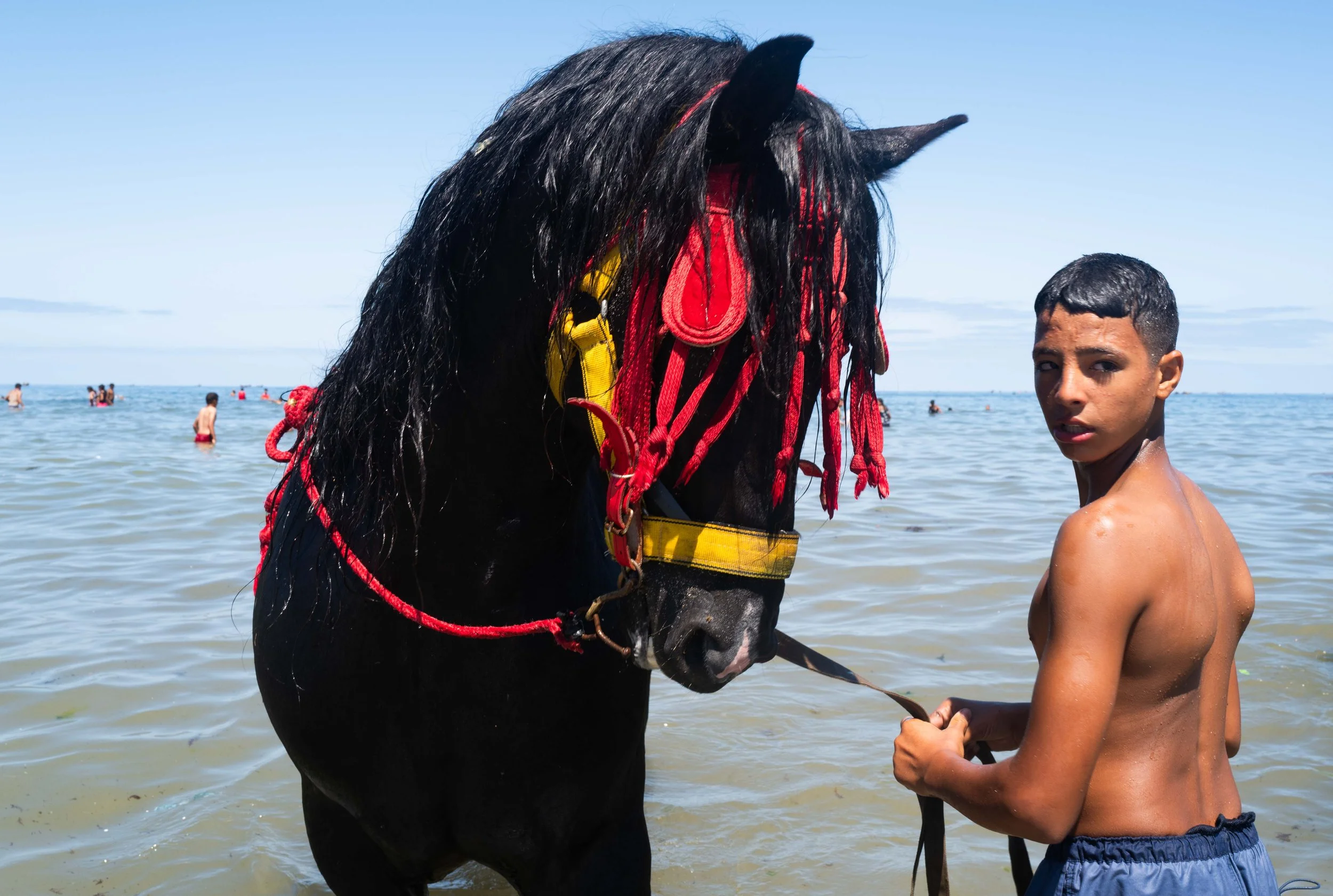 Horse beach Morocco swiming-29.jpg