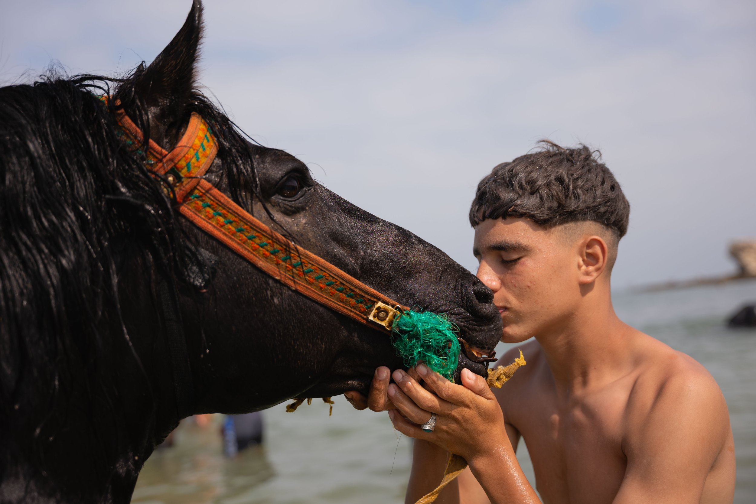 Horse beach Morocco swiming-7.jpg