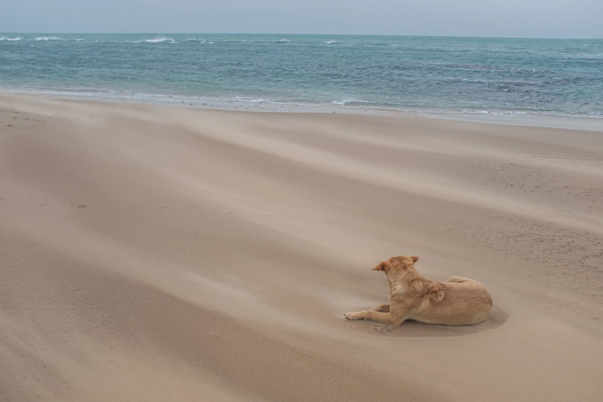 PASTELLE  web Yoriyas-11.jpg