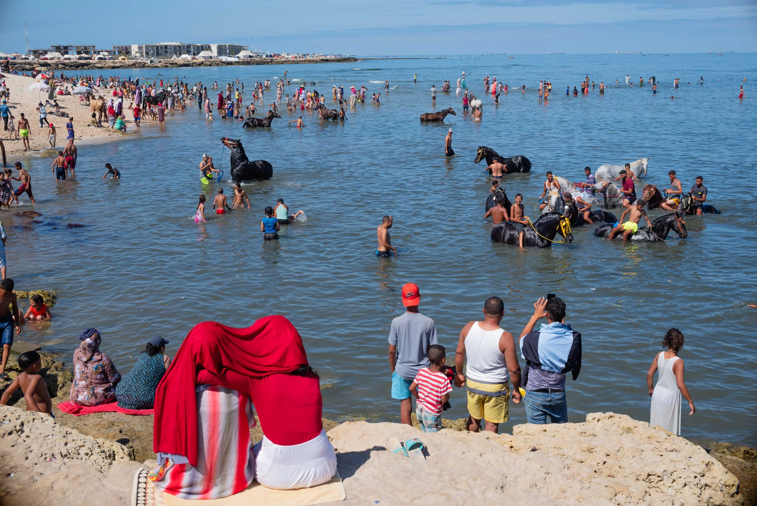 Horse beach project -01.jpg