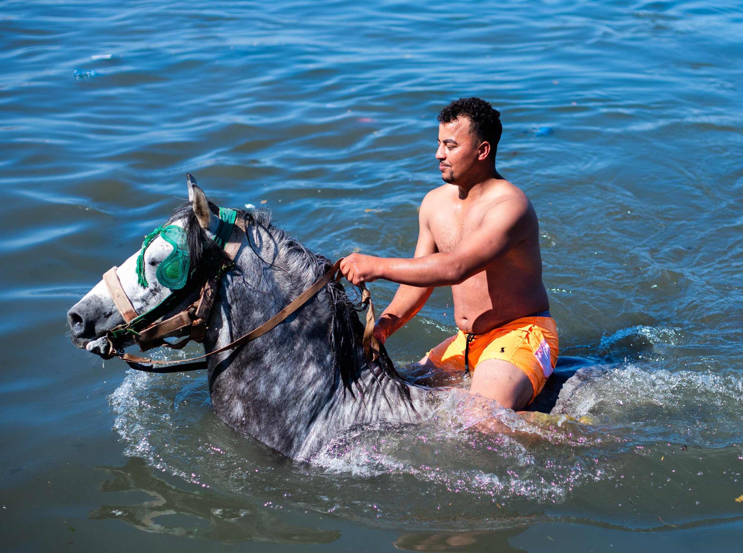 Horse beach Morocco swiming-12.jpg