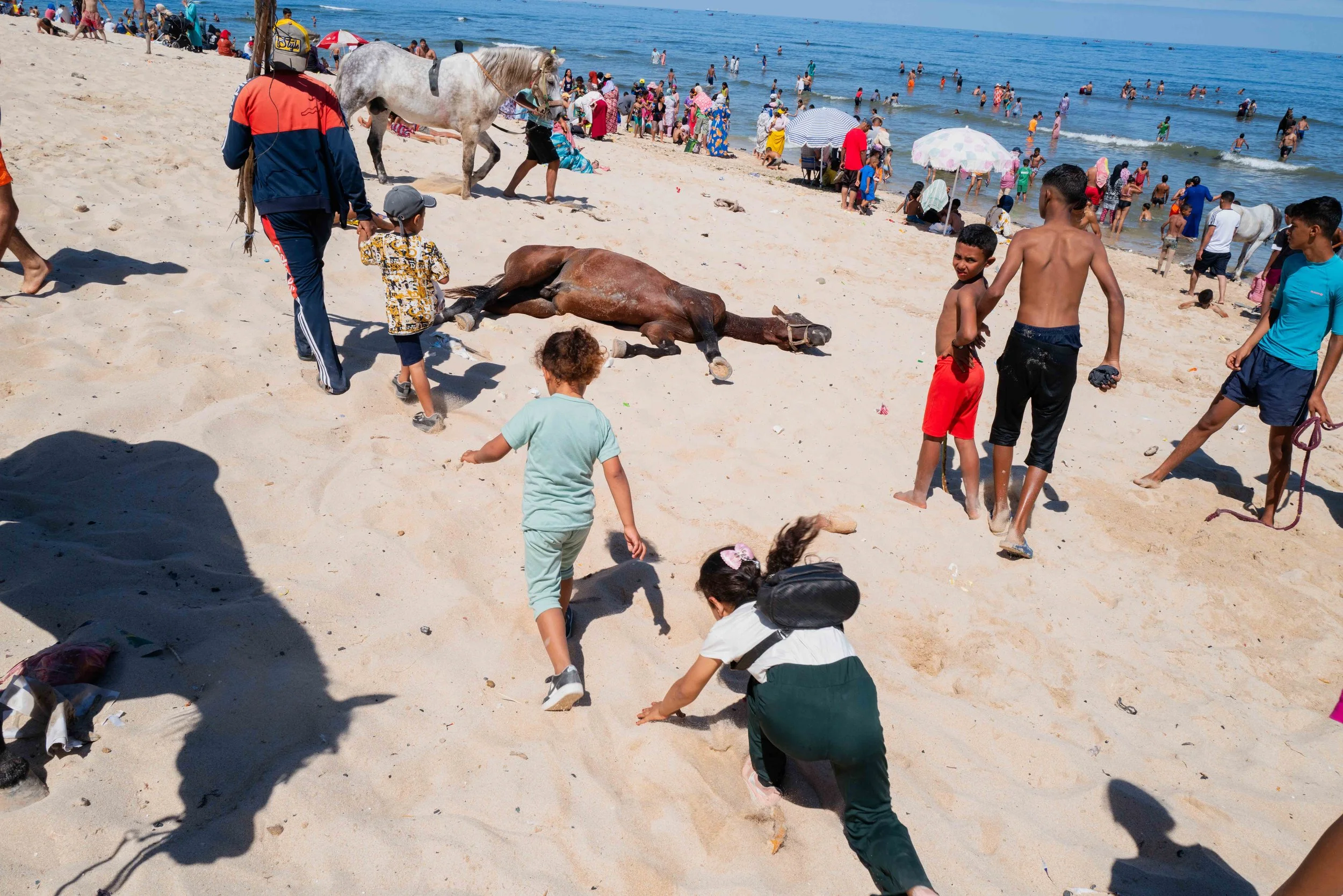 Horse beach Morocco swiming-14.jpg