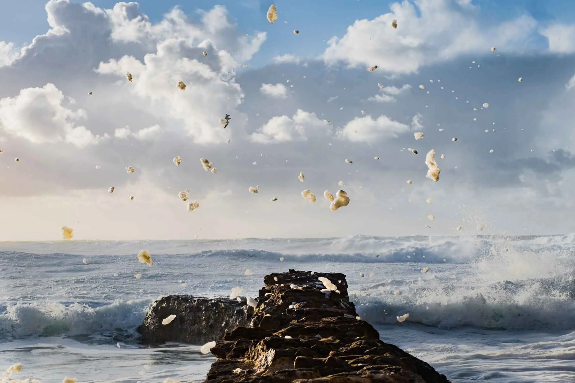 PASTELLE  web Yoriyas2-3.jpg