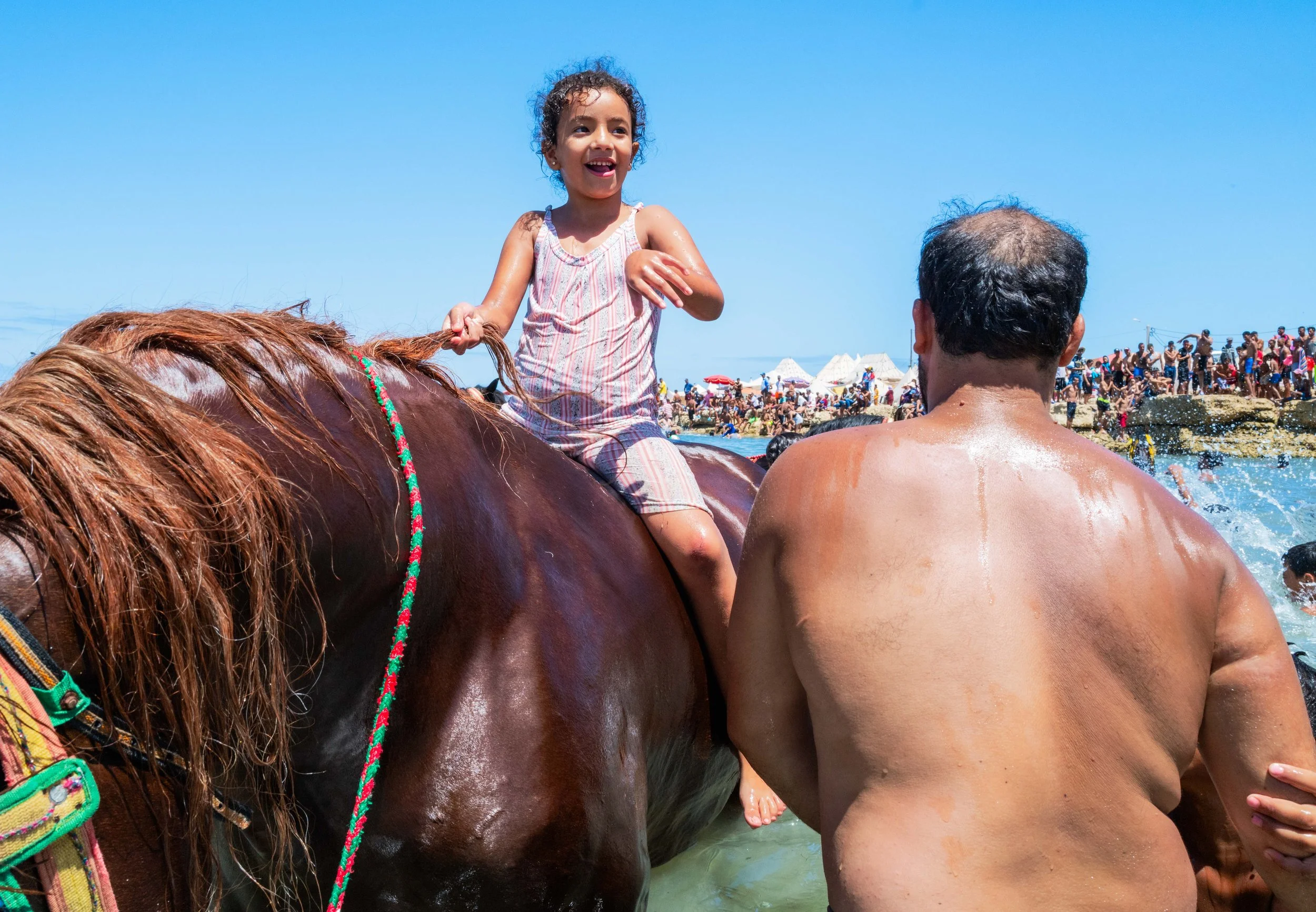 Horse beach project -26.jpg
