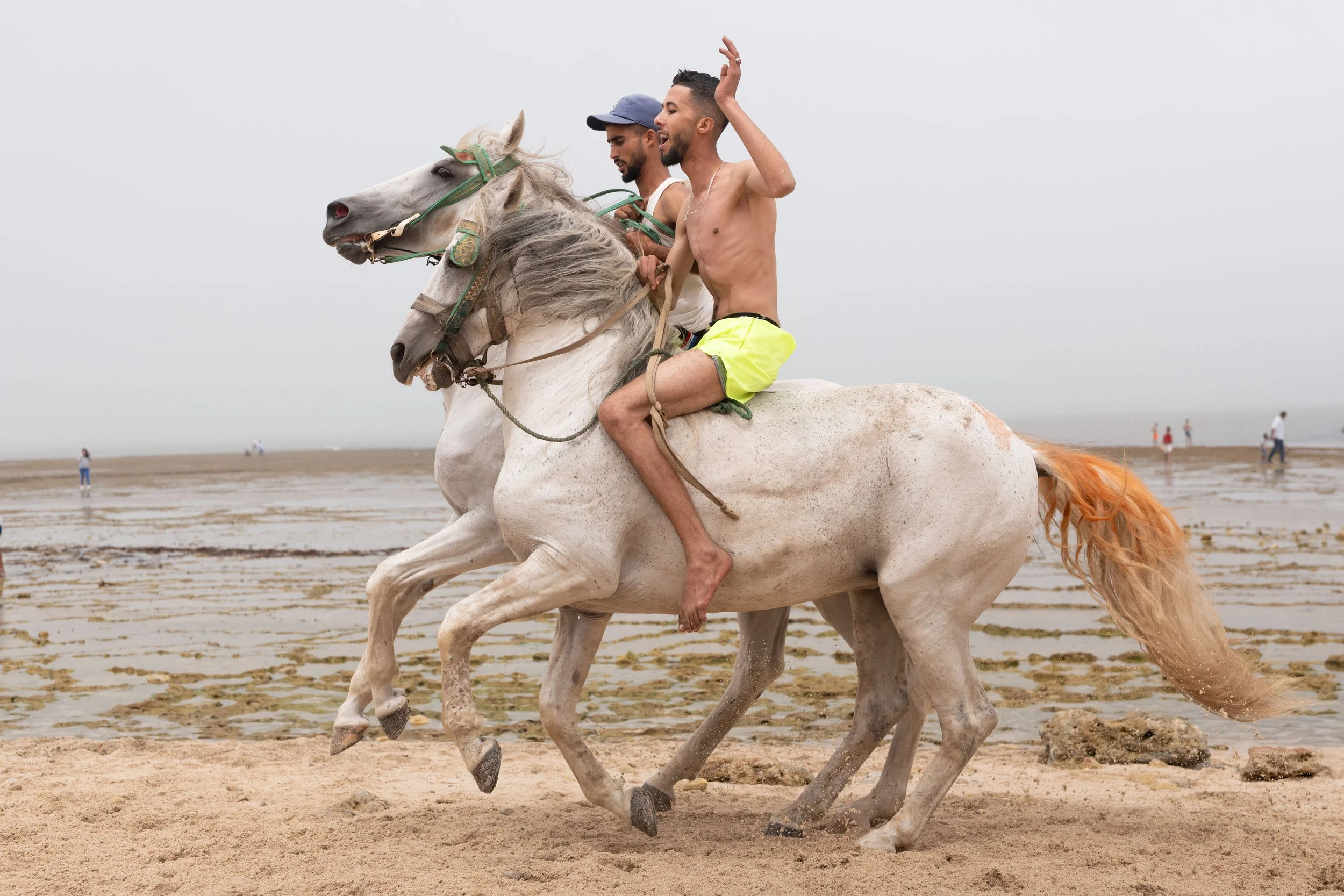 Horse beach project -42.jpg