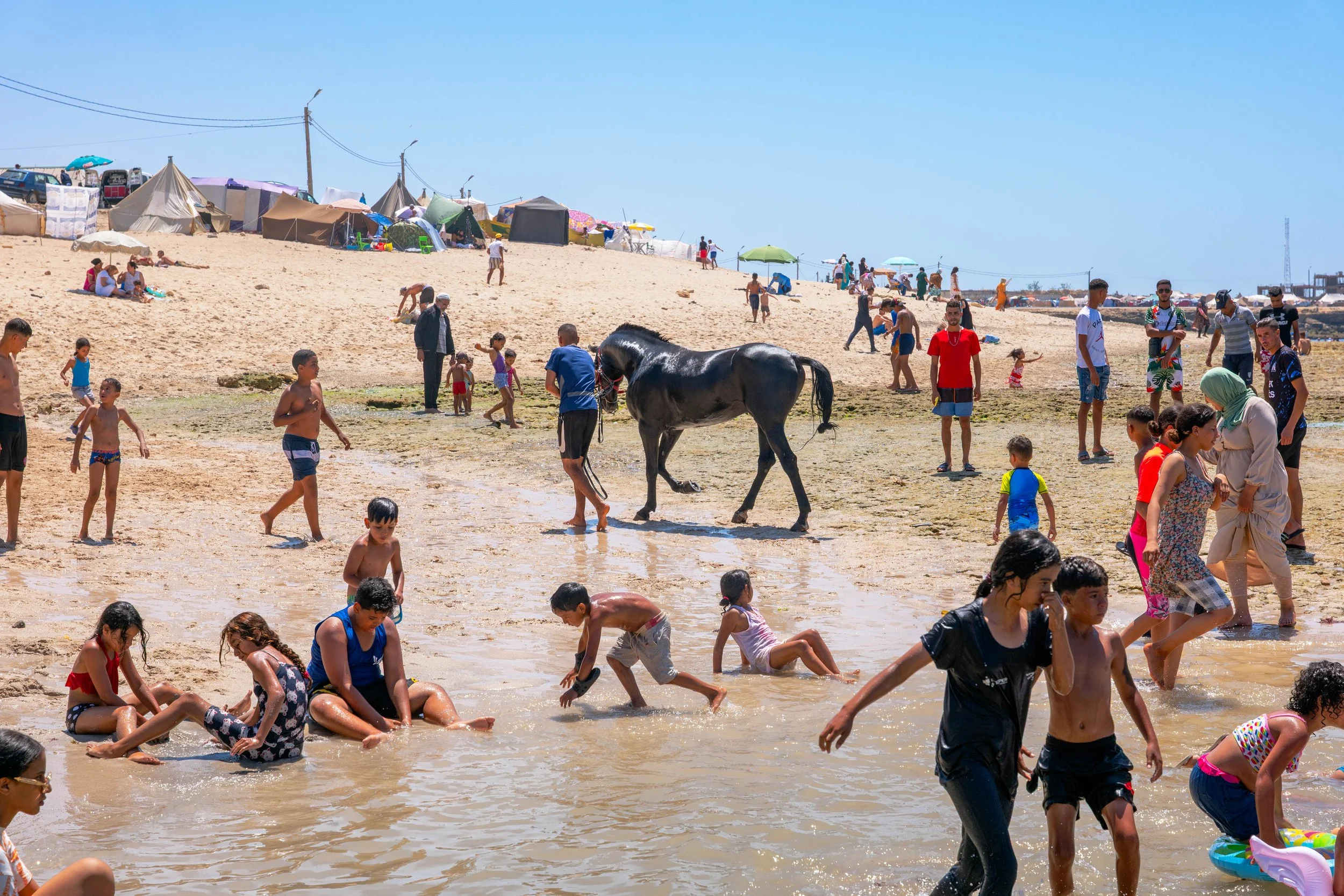 Horse beach project -2.jpg
