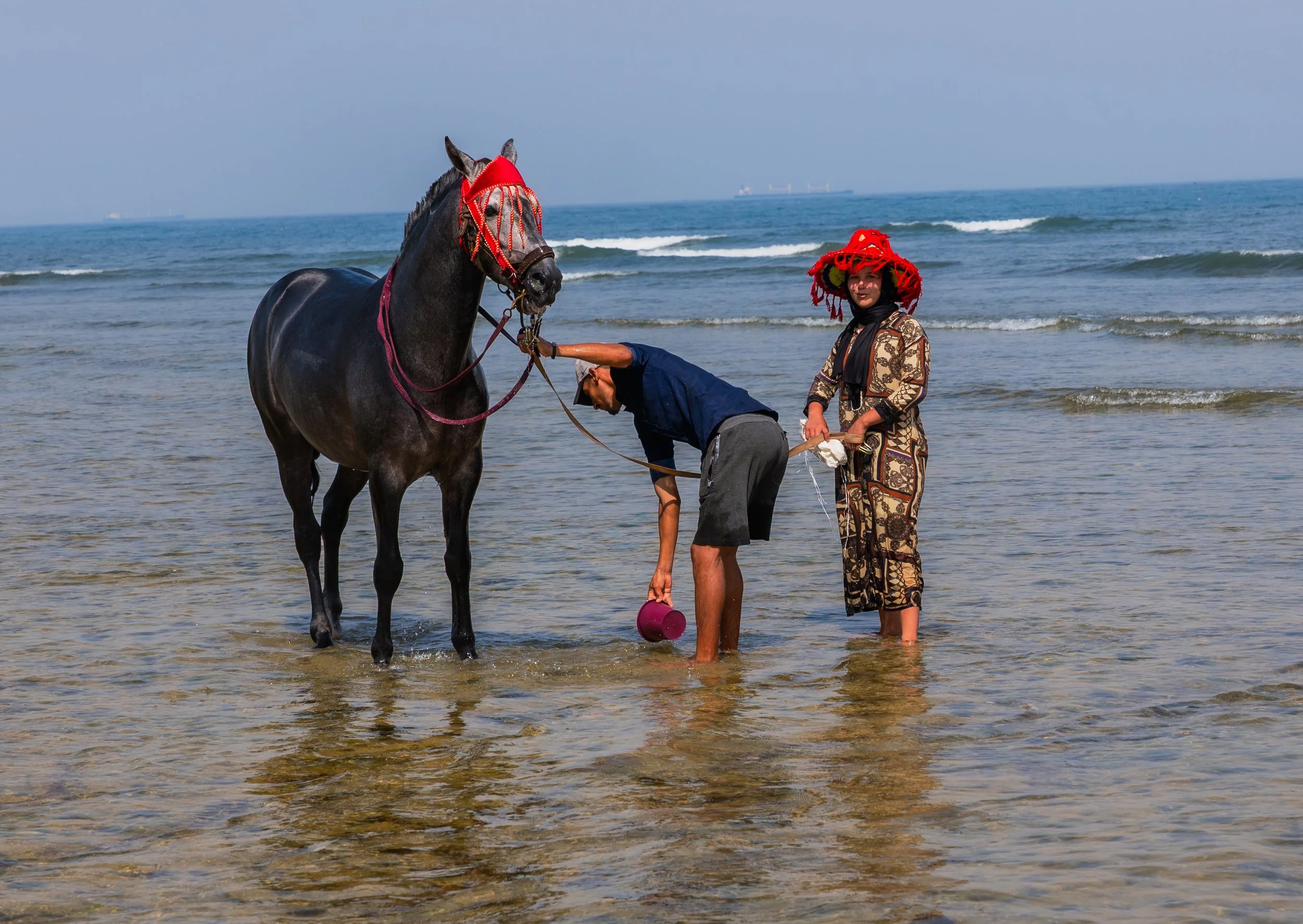 Horse beach project -27.jpg