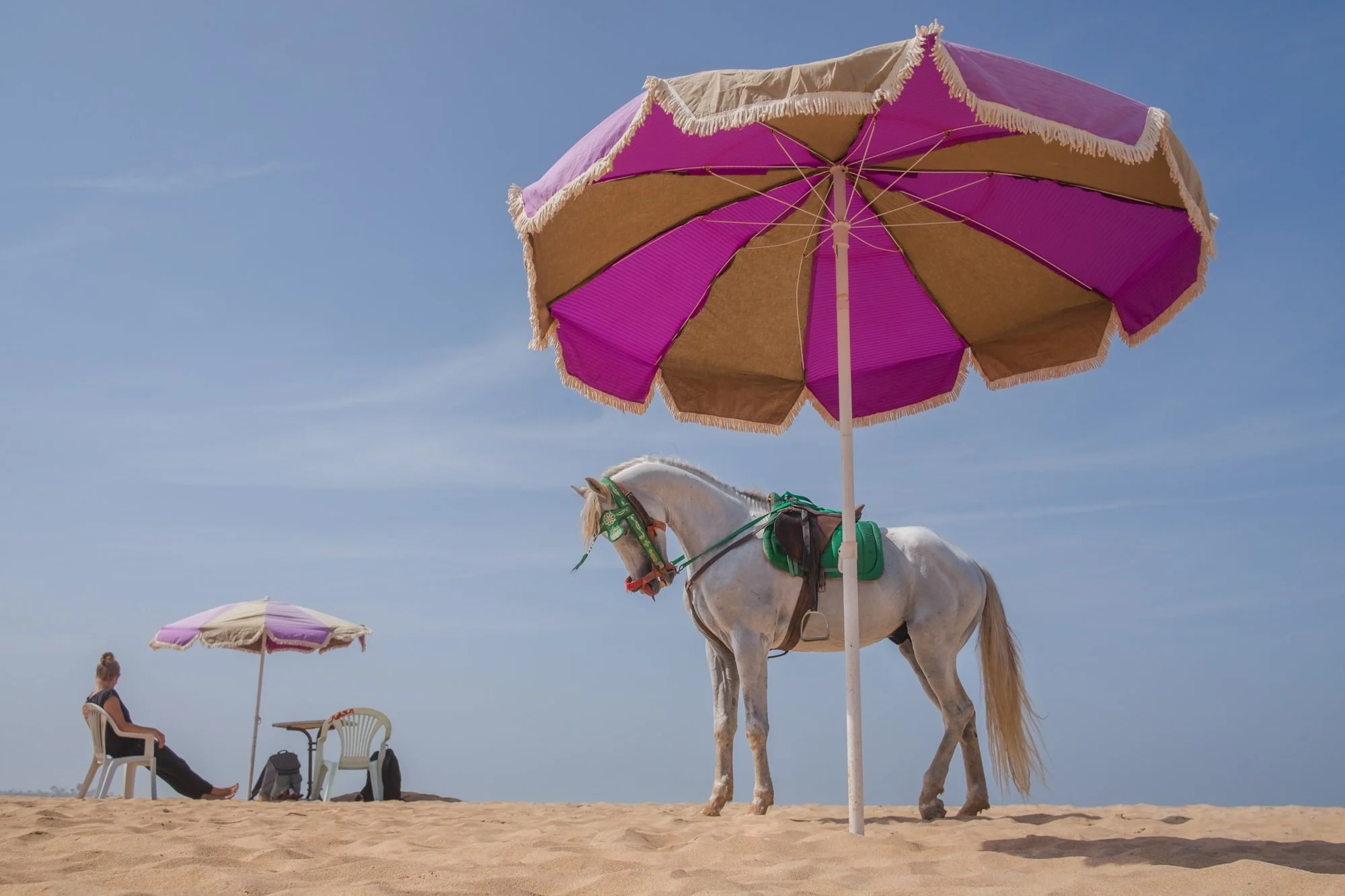 Casablanca not the movie Yoriyas-3.jpg