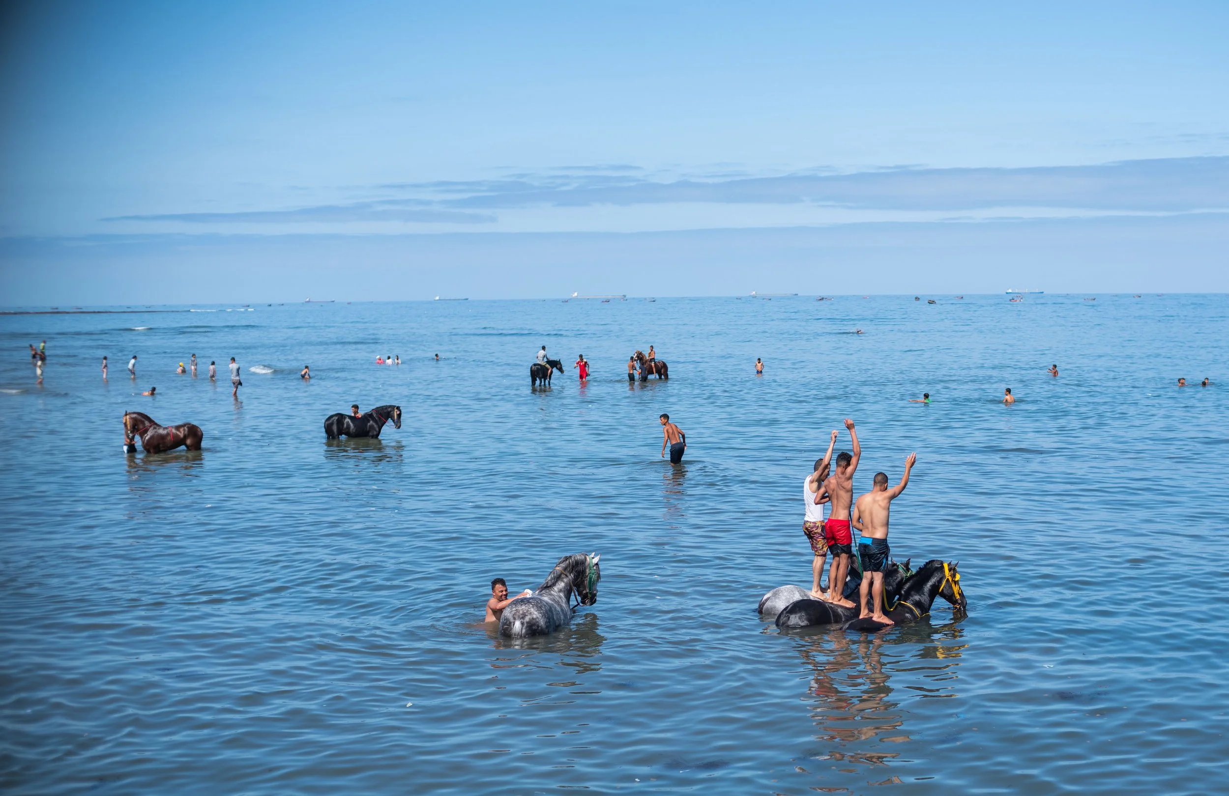 Horse beach project -36.jpg
