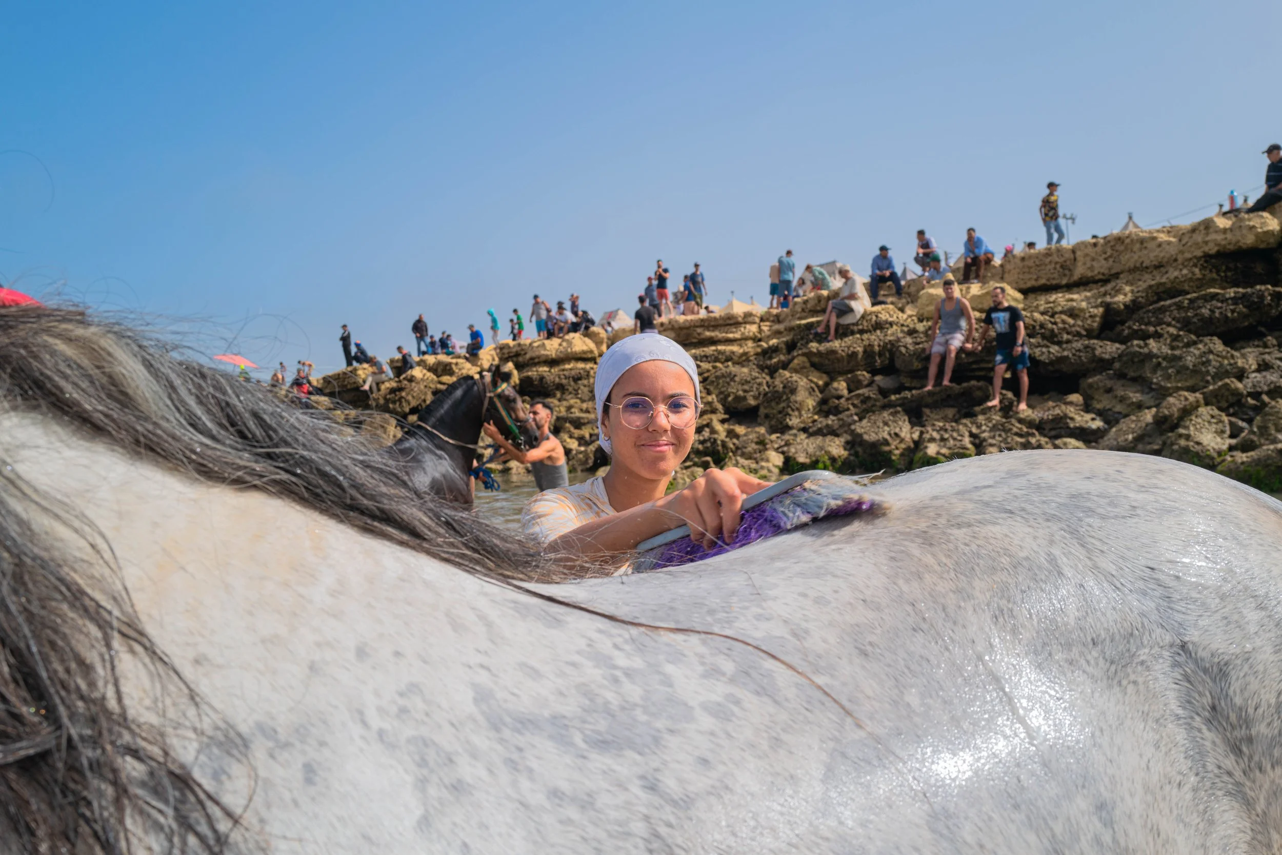 Horse beach project -41.jpg
