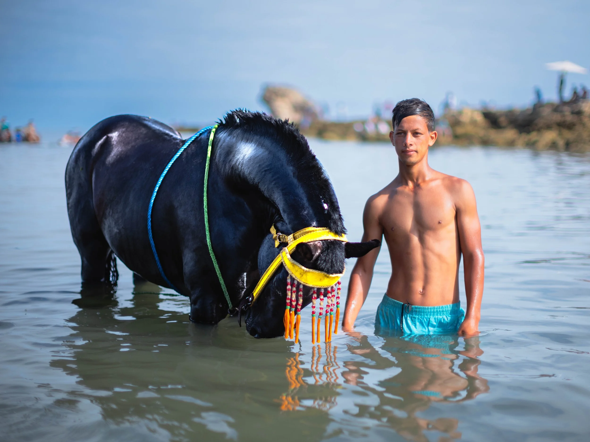 Horse beach Morocco swiming-35.jpg
