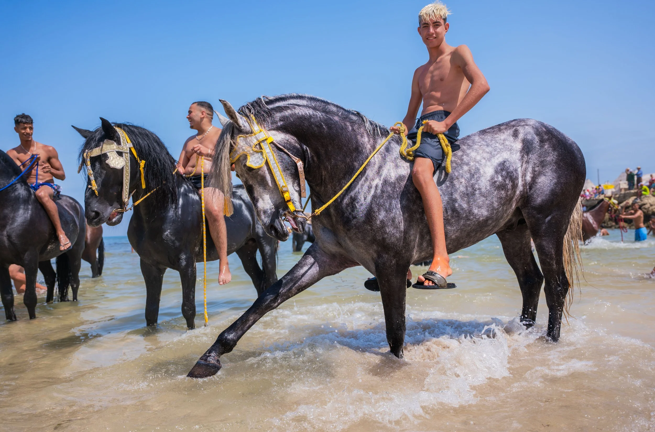 Horse beach project -29.jpg