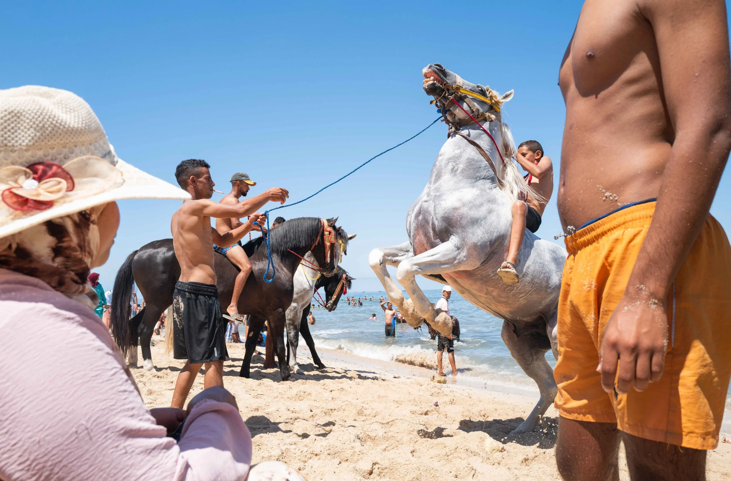 Horse beach Morocco swiming-39.jpg