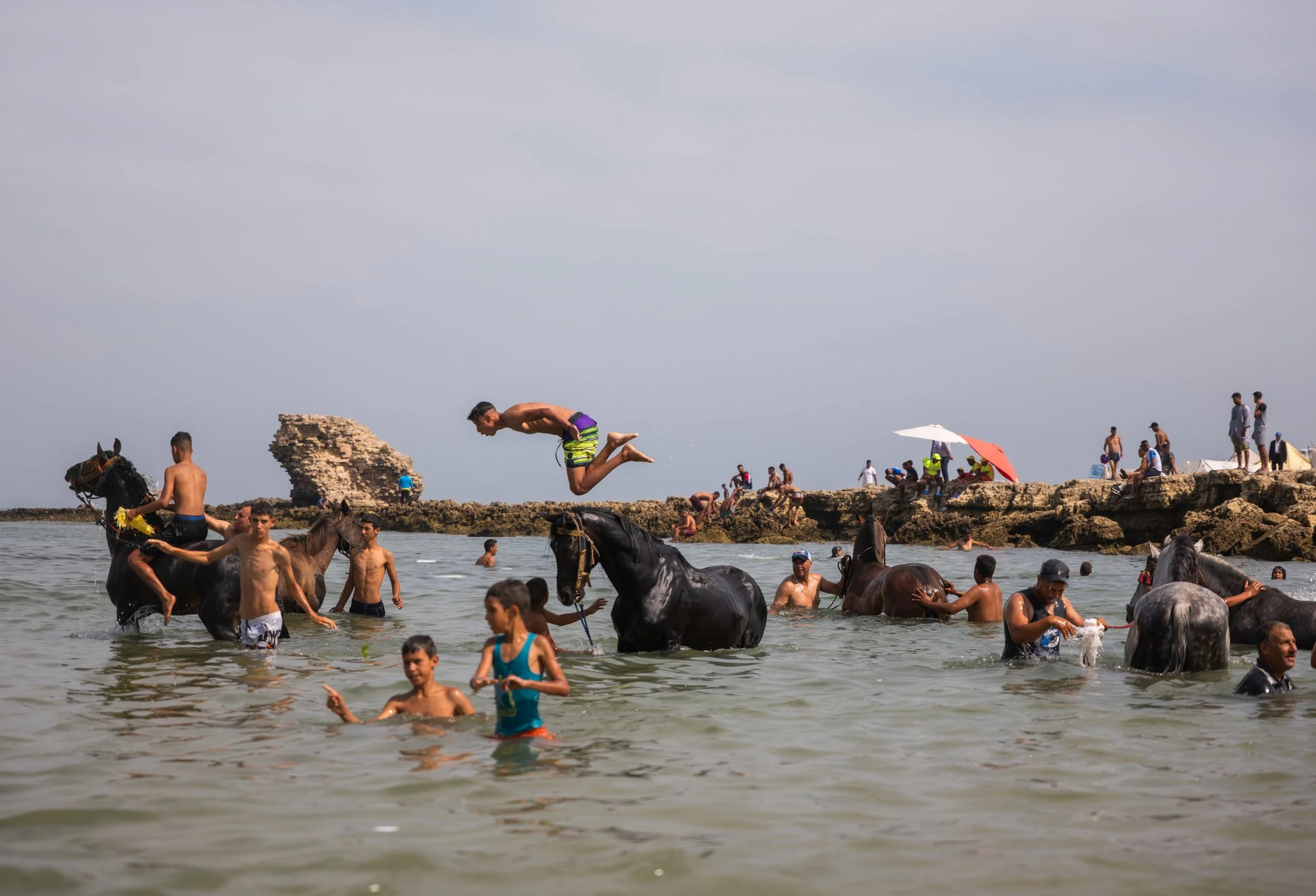 Horse beach project -17.jpg