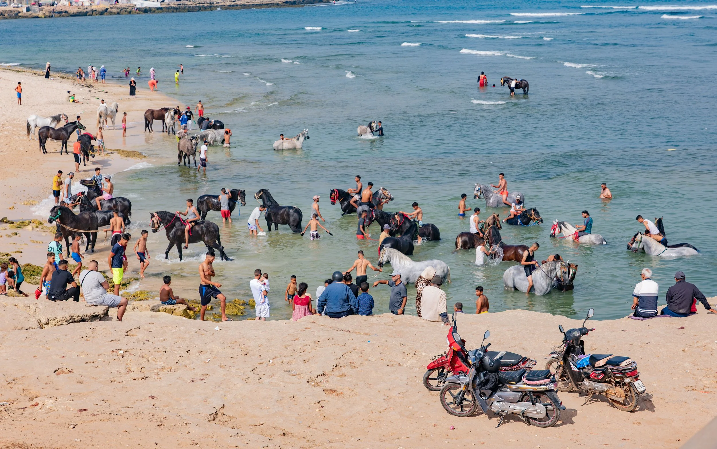 Horse beach project -11.jpg