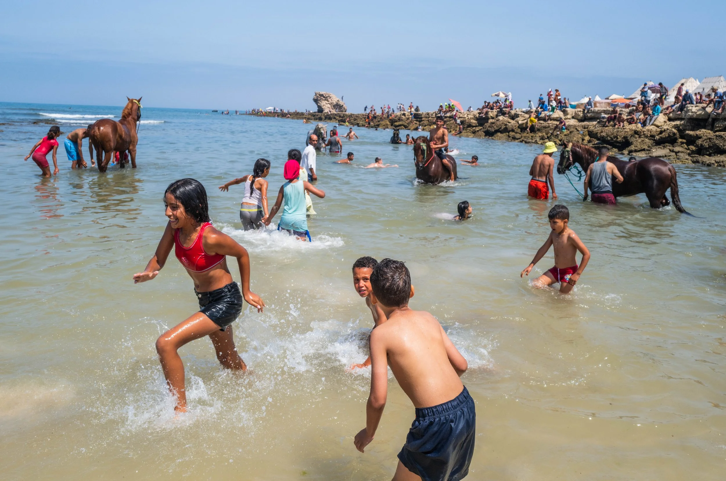 Horse beach project -22.jpg