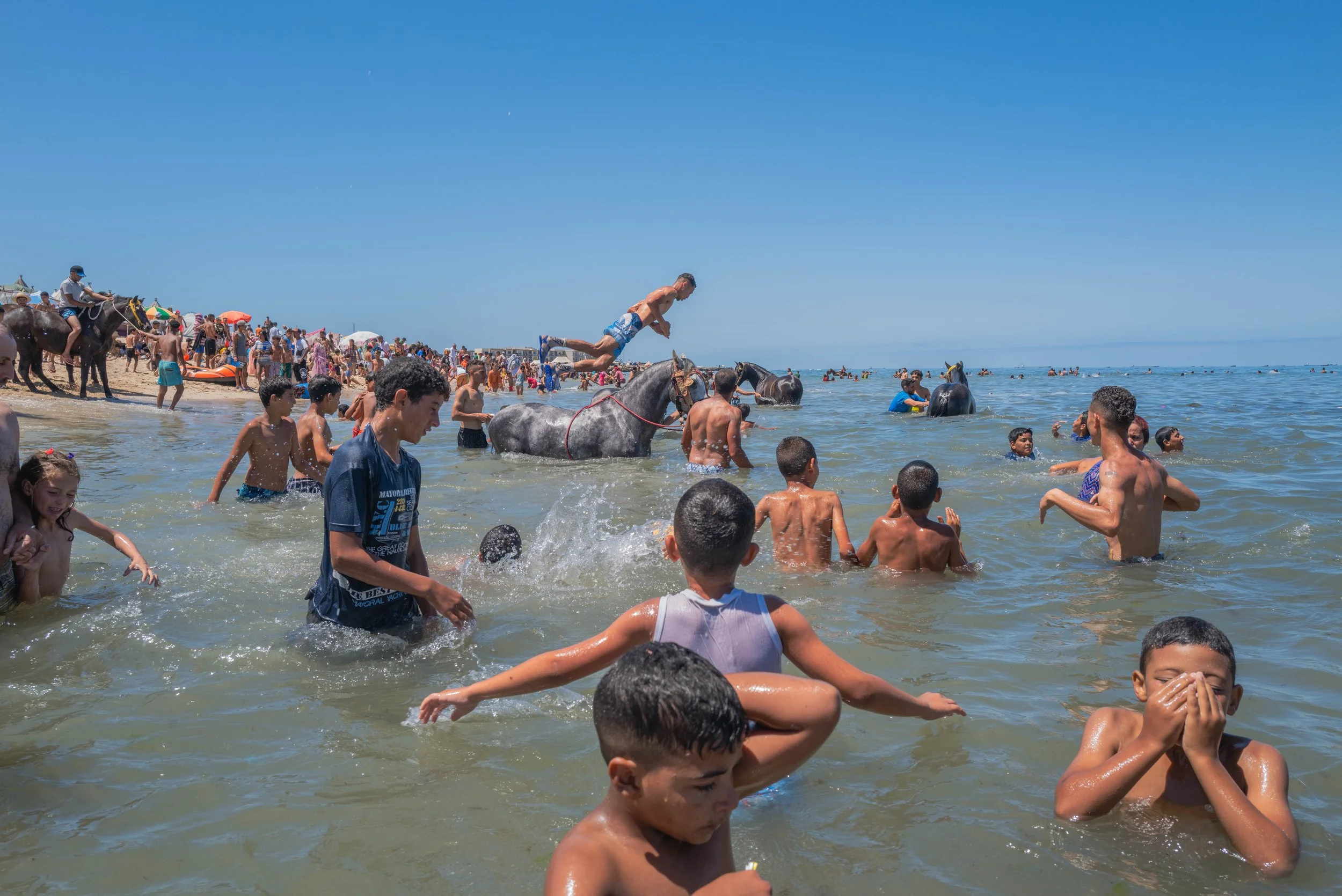 Horse beach project -34.jpg