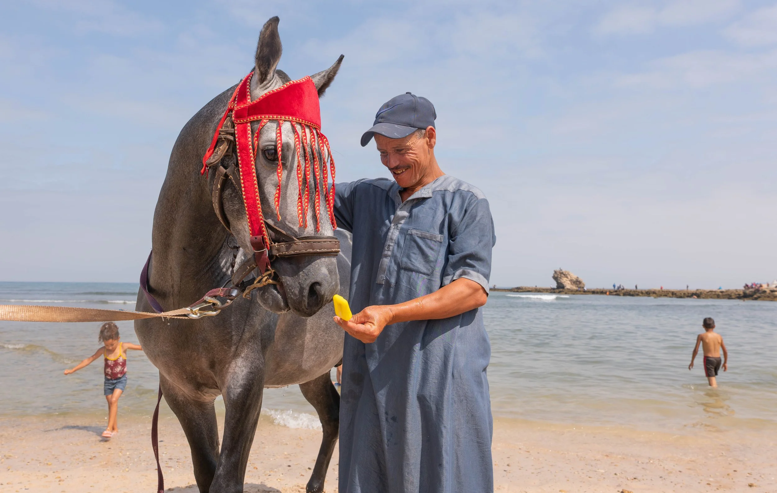 Horse beach Morocco swiming-42.jpg