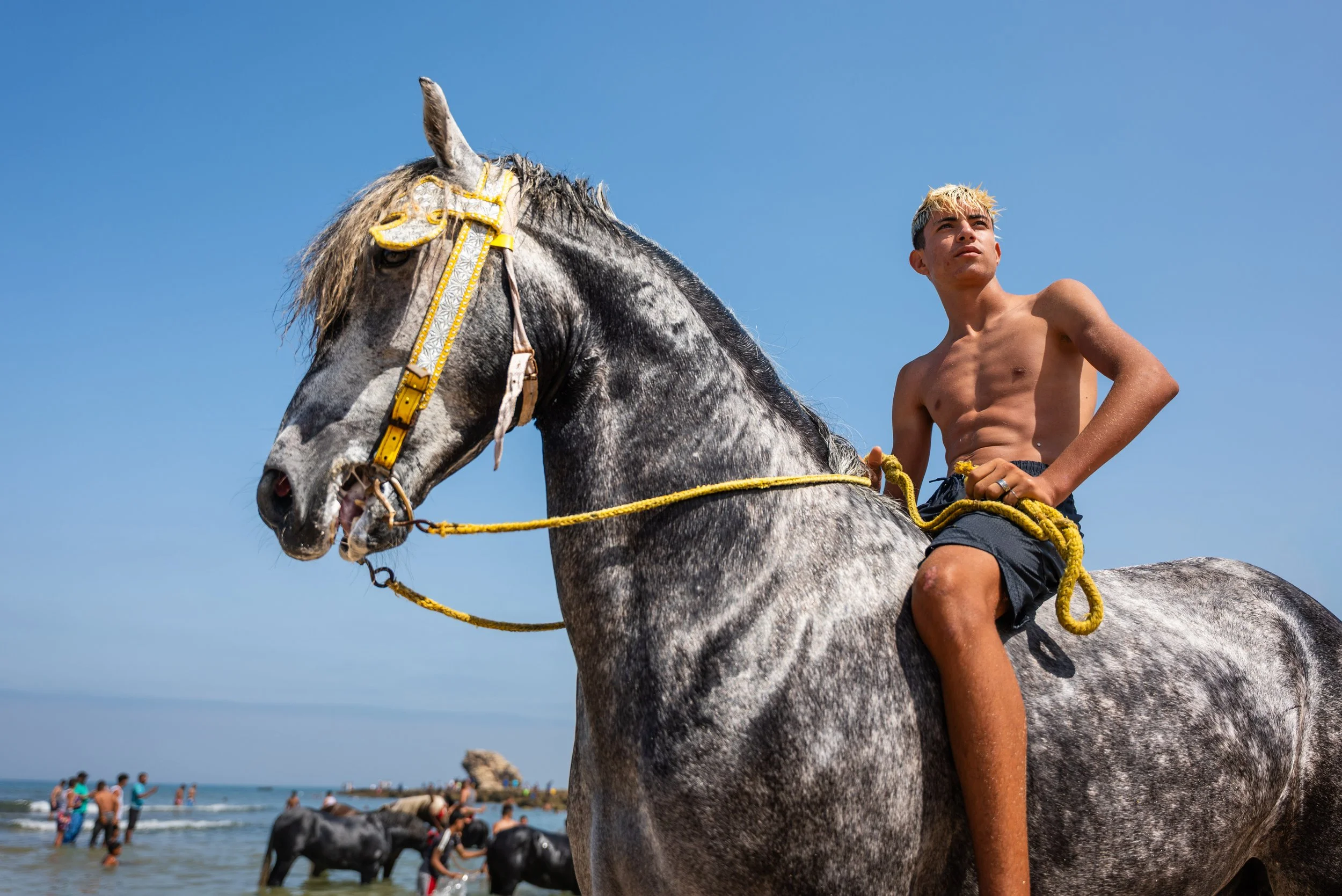 Horse beach project -30.jpg