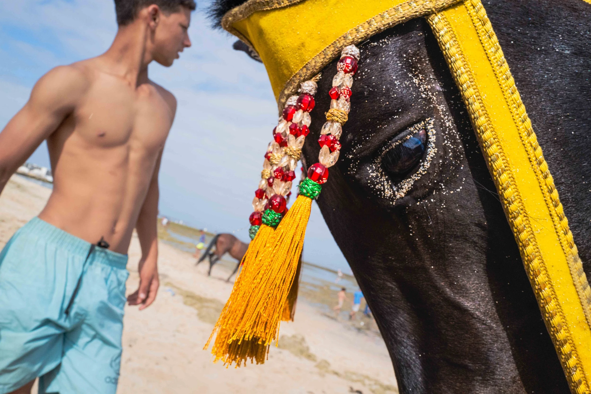 Horse beach Morocco swiming-15.jpg