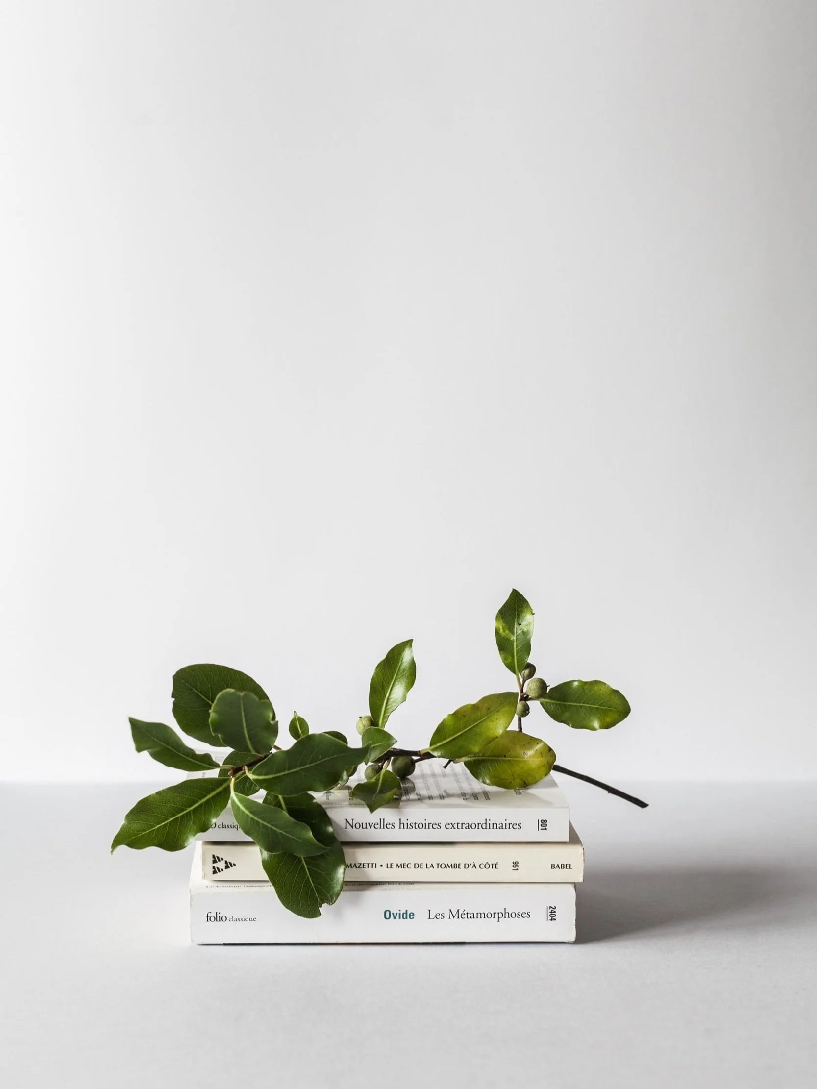 unsplash-image-2zDw14yCYqk.jpg